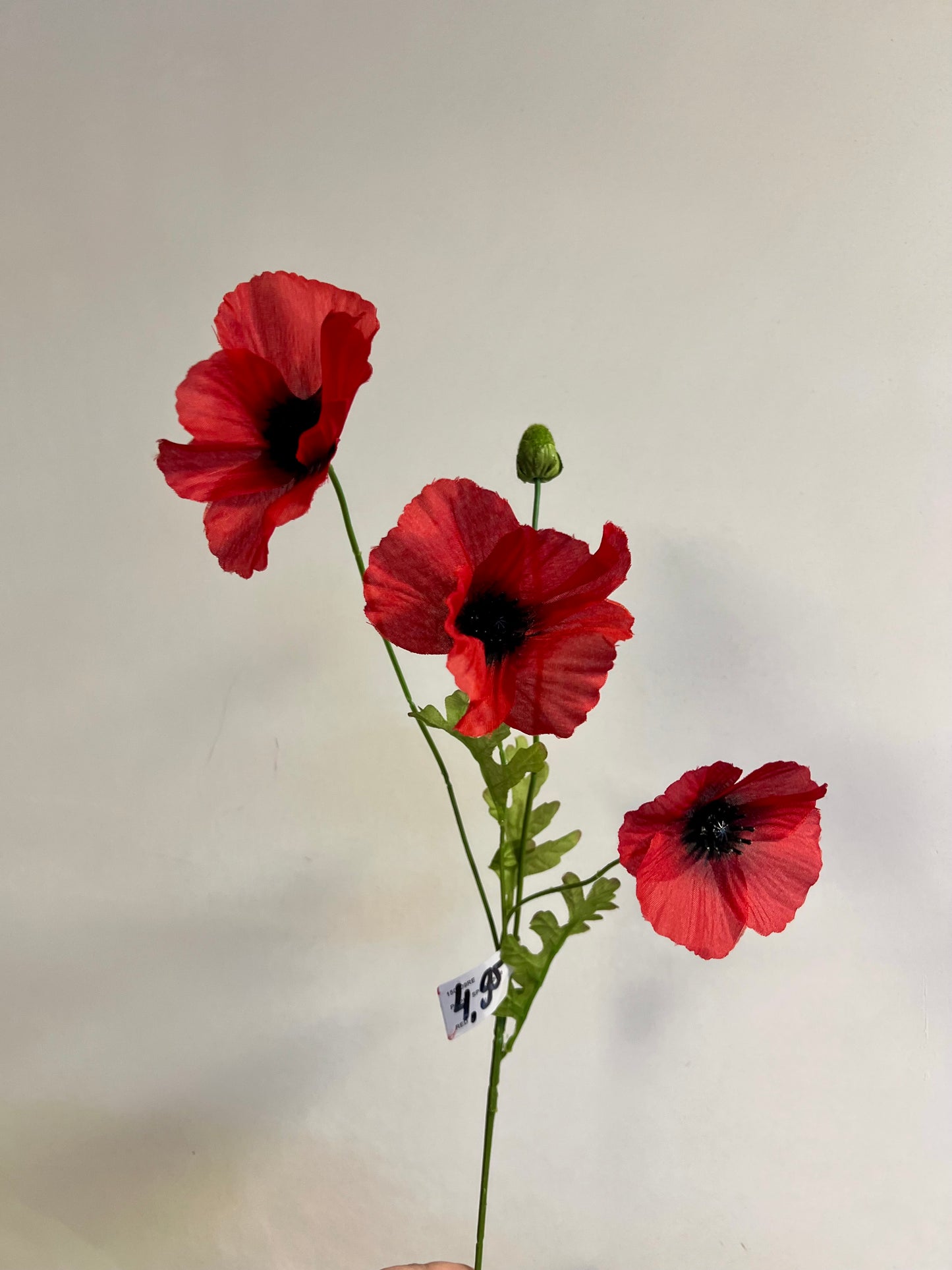 ZIJDEN | KLAPROOS | ROOD