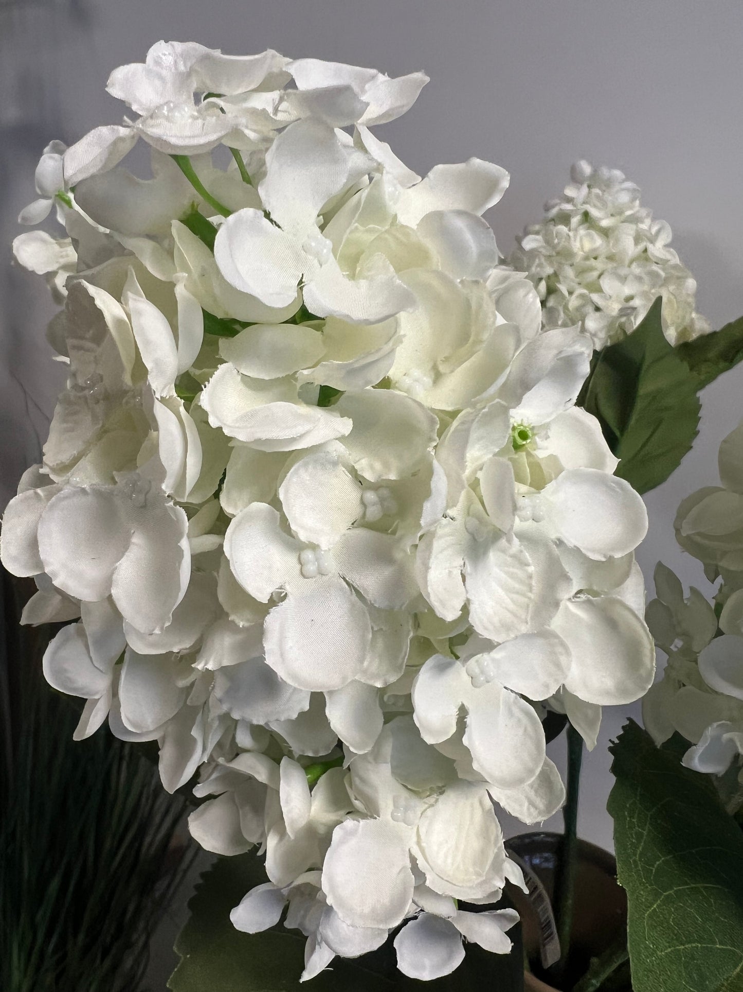 ZIJDEN | PUNT | HORTENSIA | WIT