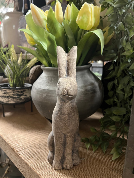 HAAS | STEEN | KLEIN | 2 | SOORTEN