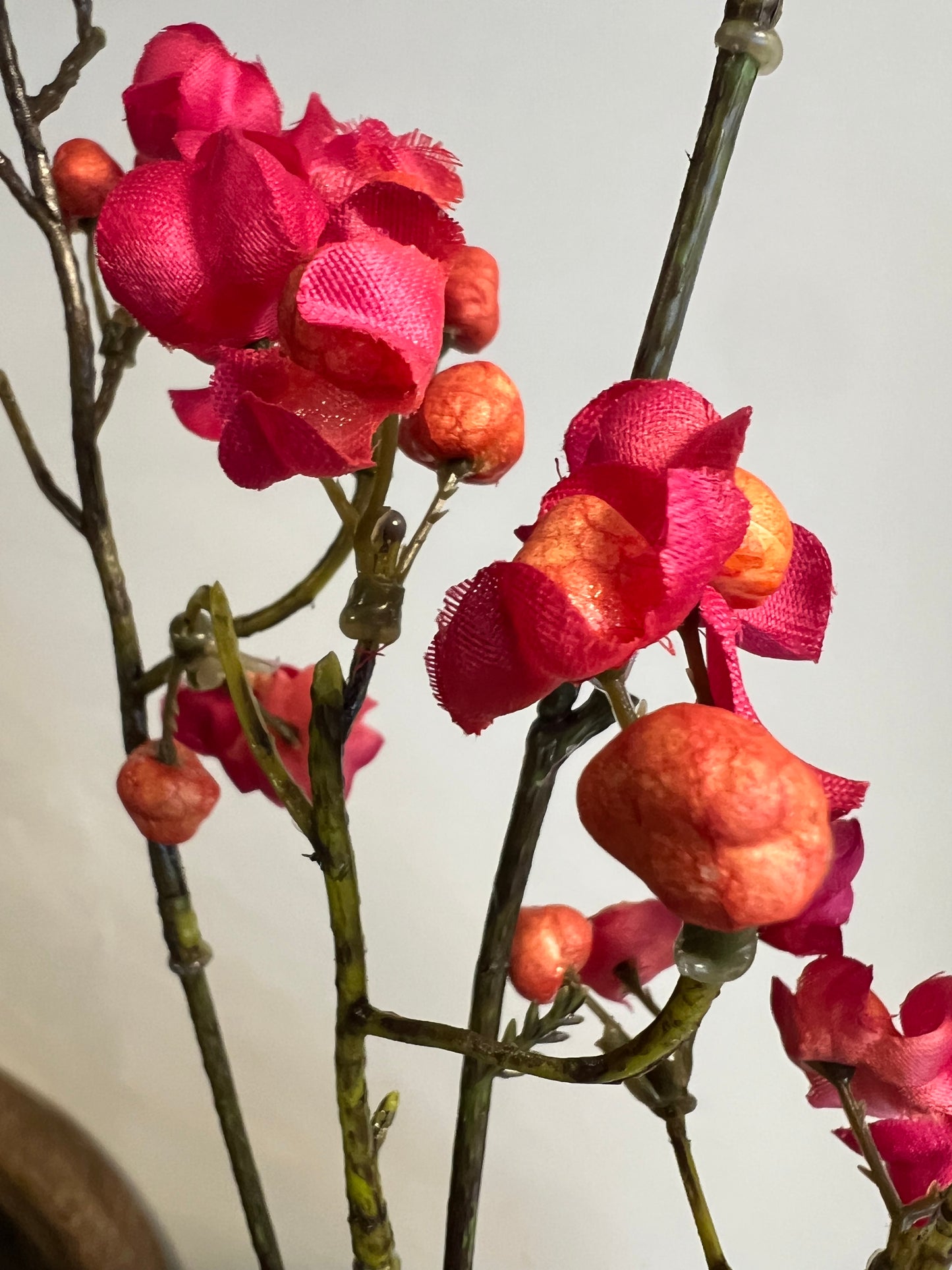 KUNST | KARDINAALSMUTS | EUPONYMOUS | ROZE | ORANJE | 90 CM