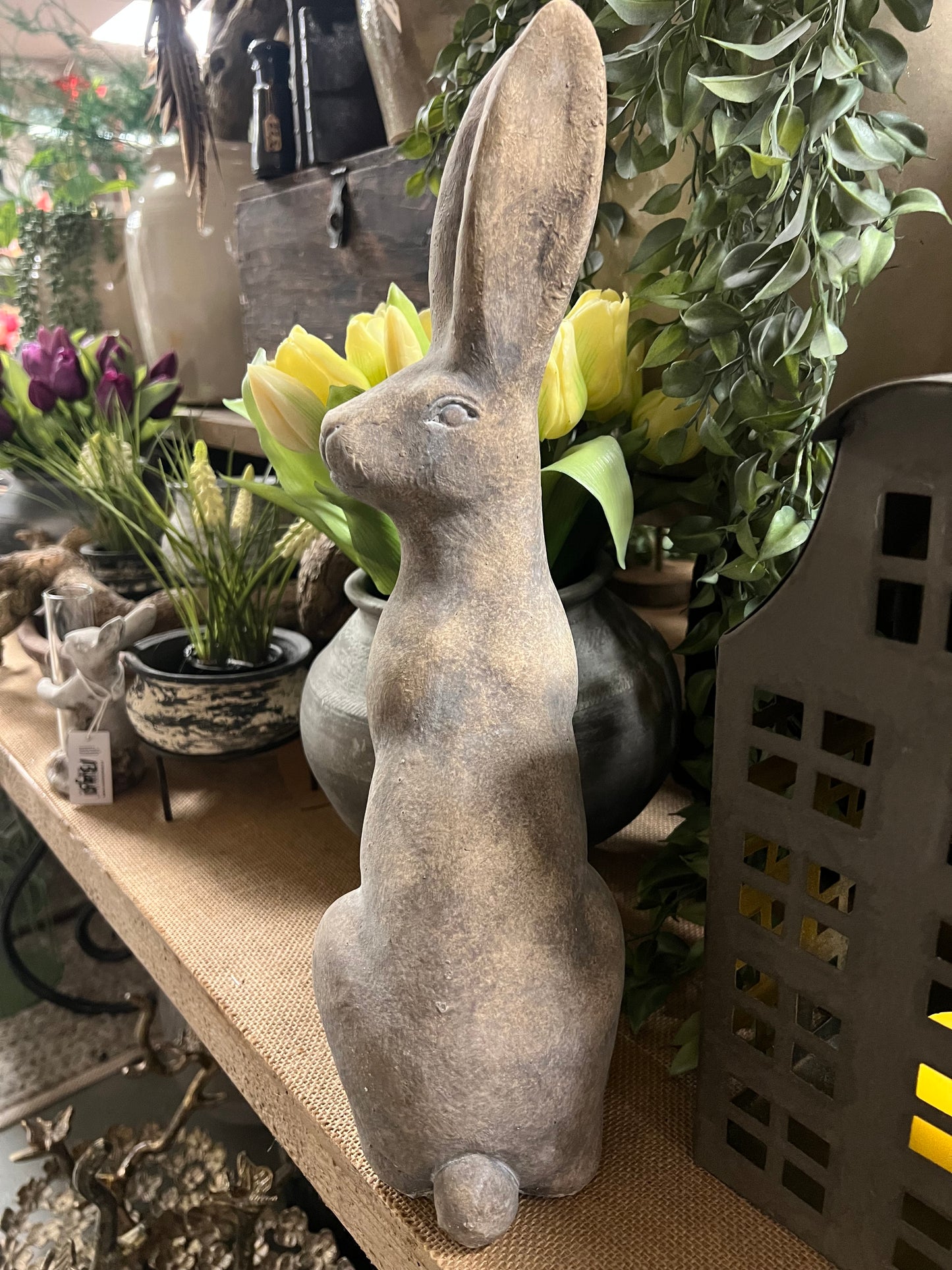 HAAS | STEEN | 2 | SOORTEN | GROOT