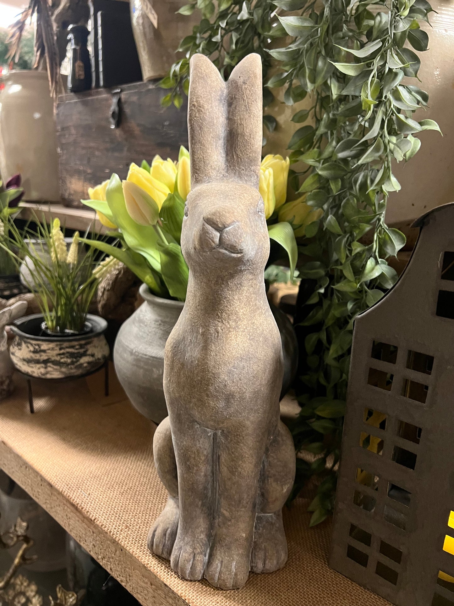 HAAS | STEEN | 2 | SOORTEN | GROOT