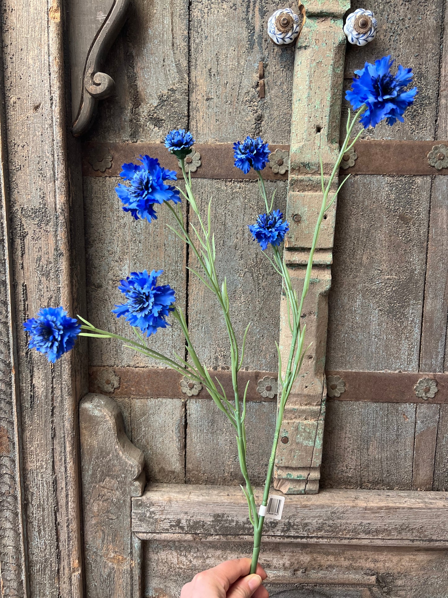 KUNST | KORENBLOEM | BLAUW
