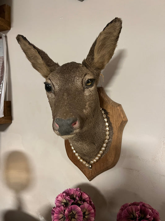 OUD | HERT | TAXIMERDIE | BROCANTE