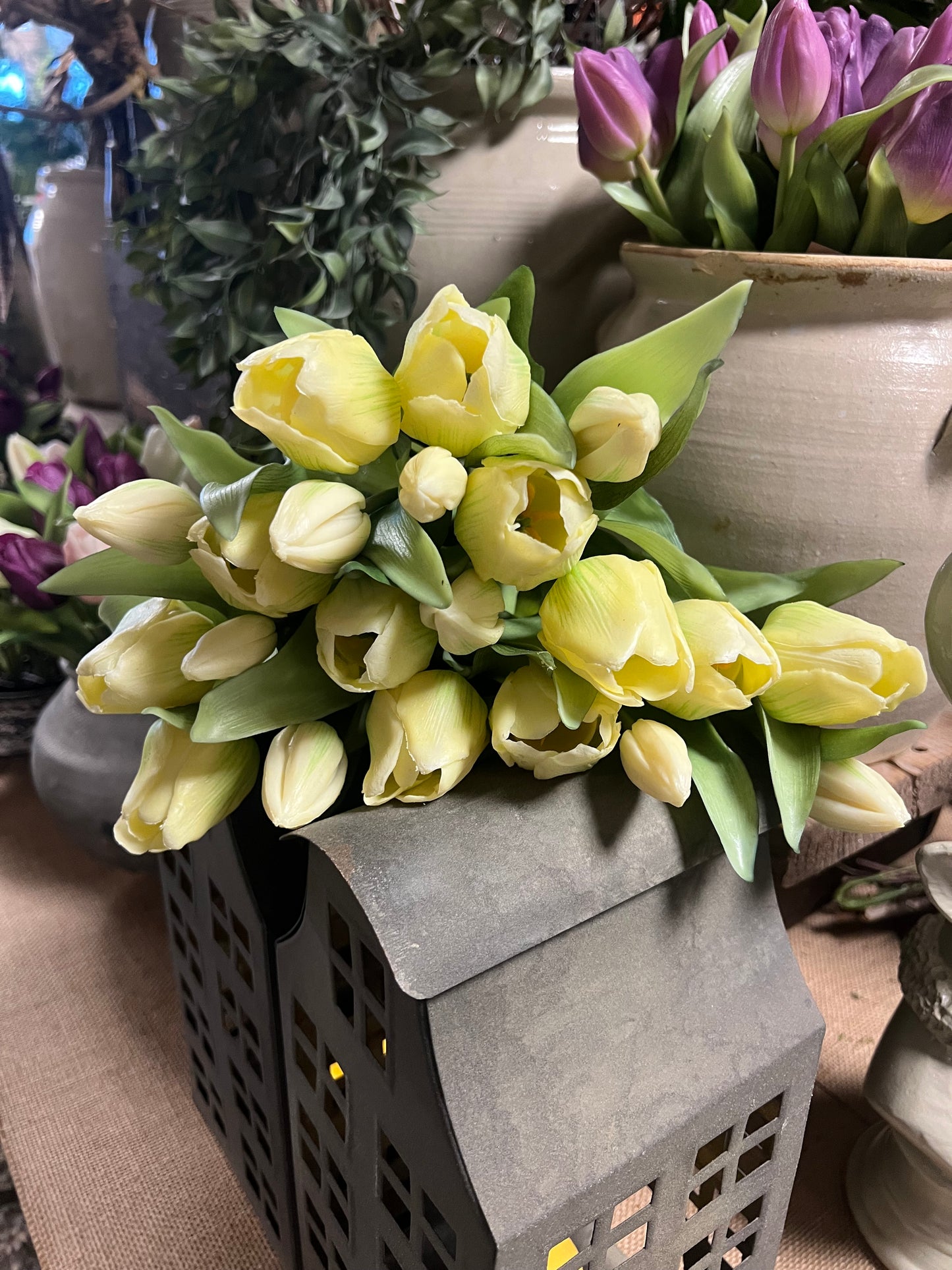 REAL | TOUCH | TULPEN | WIT | GEEL | KORT