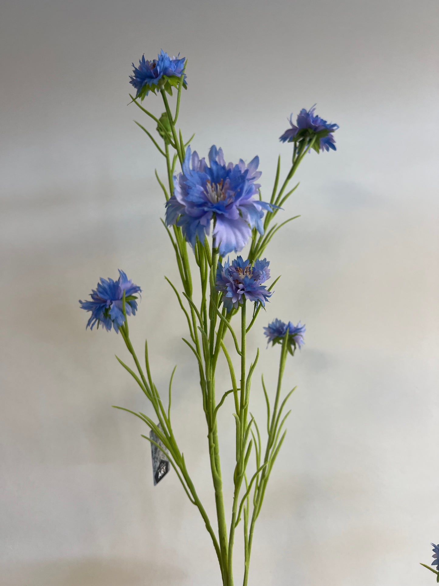 ZIJDEN | PAARS | BLAUWE | KORENBLOEMEN