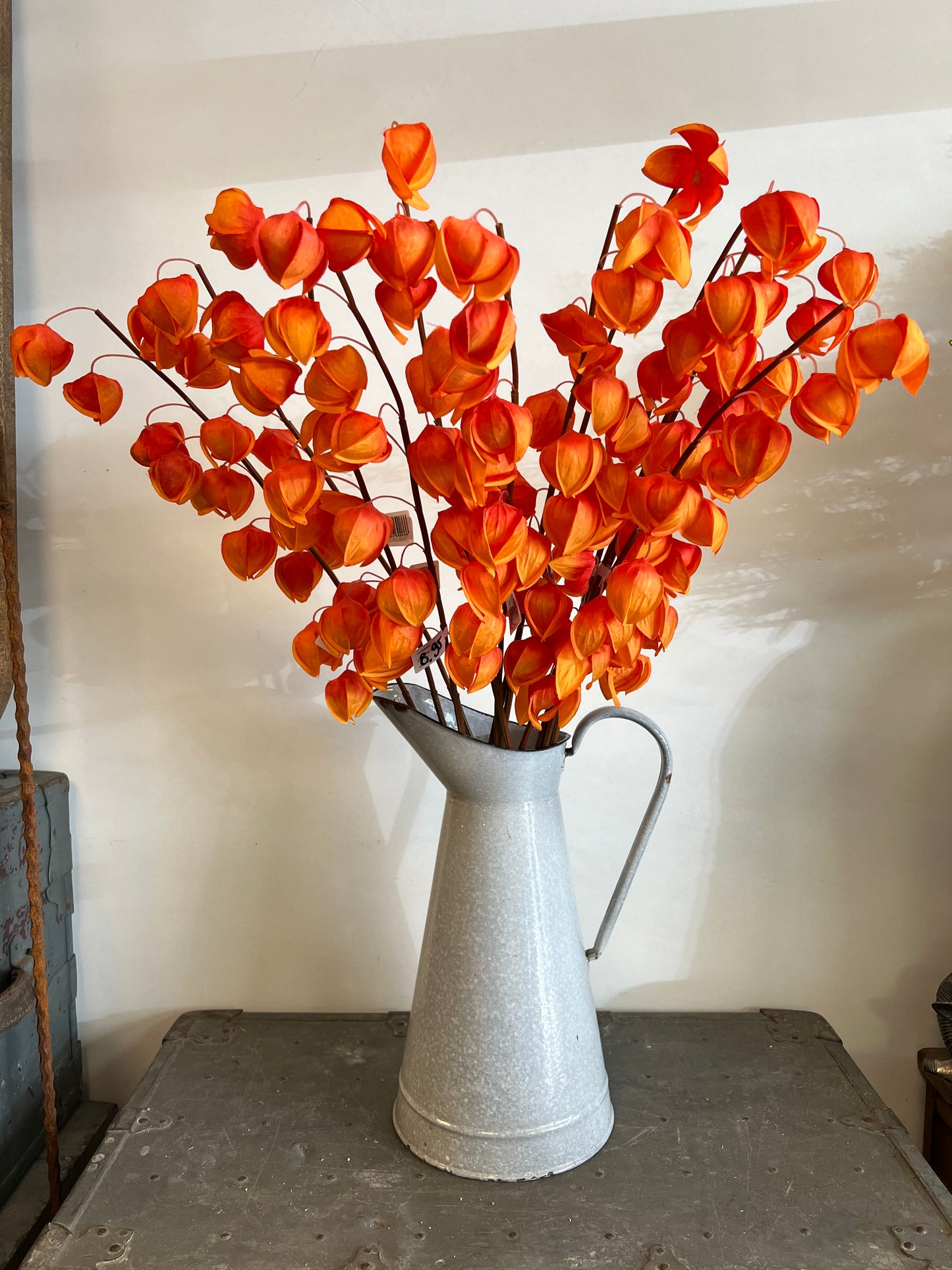 KUNST | PHYSALIS | LAMPIONS | ORANJE