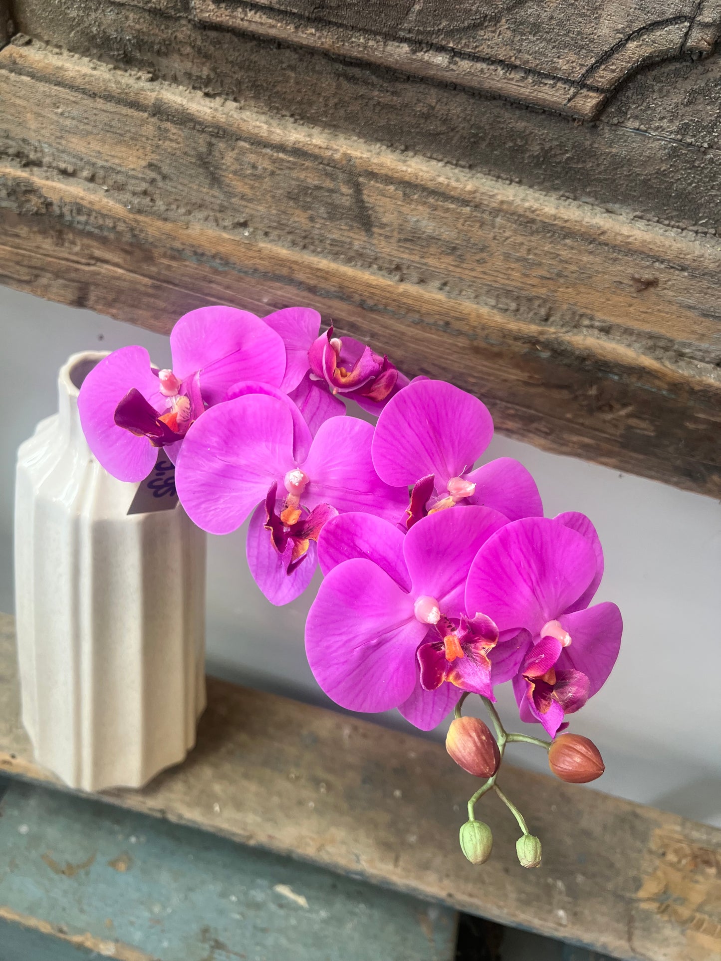 KUNST | ORCHIDEE | ROZE | KLEIN