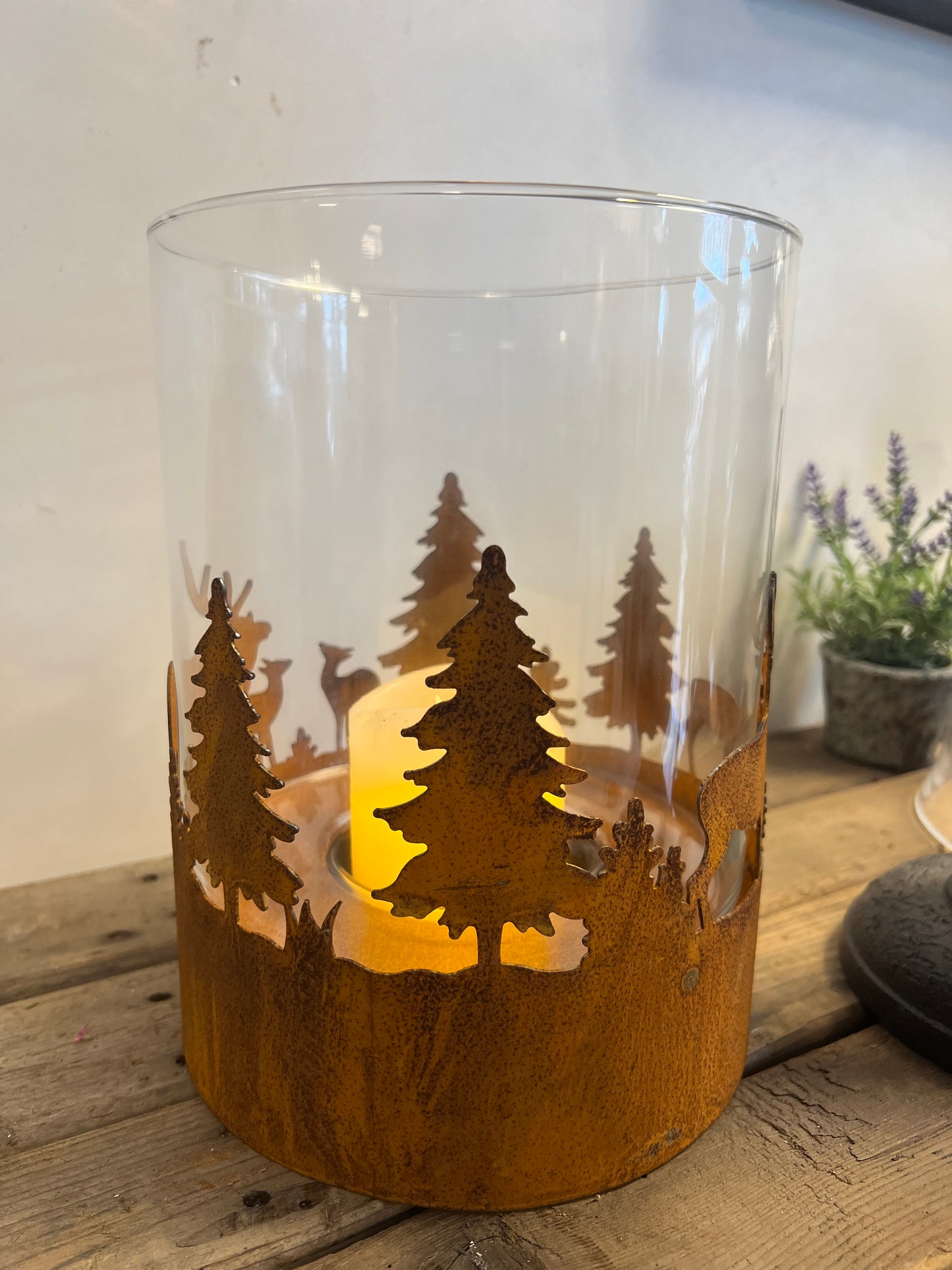 WINDLICHT | ROEST | HERT | DENNEBOOM