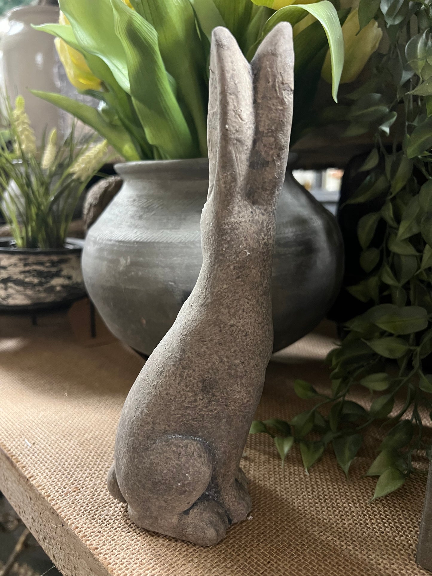 HAAS | STEEN | KLEIN | 2 | SOORTEN