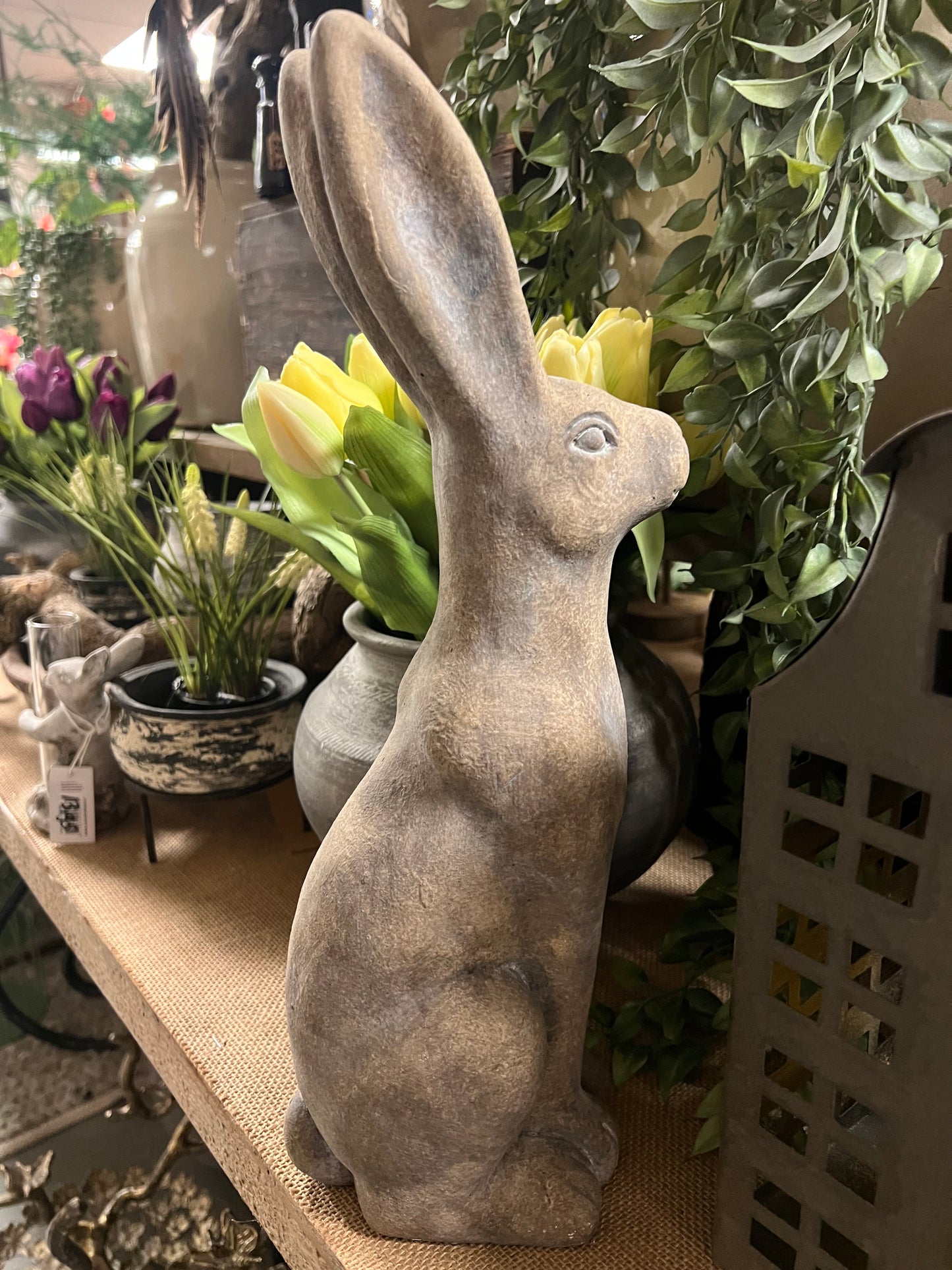 HAAS | STEEN | 2 | SOORTEN | GROOT