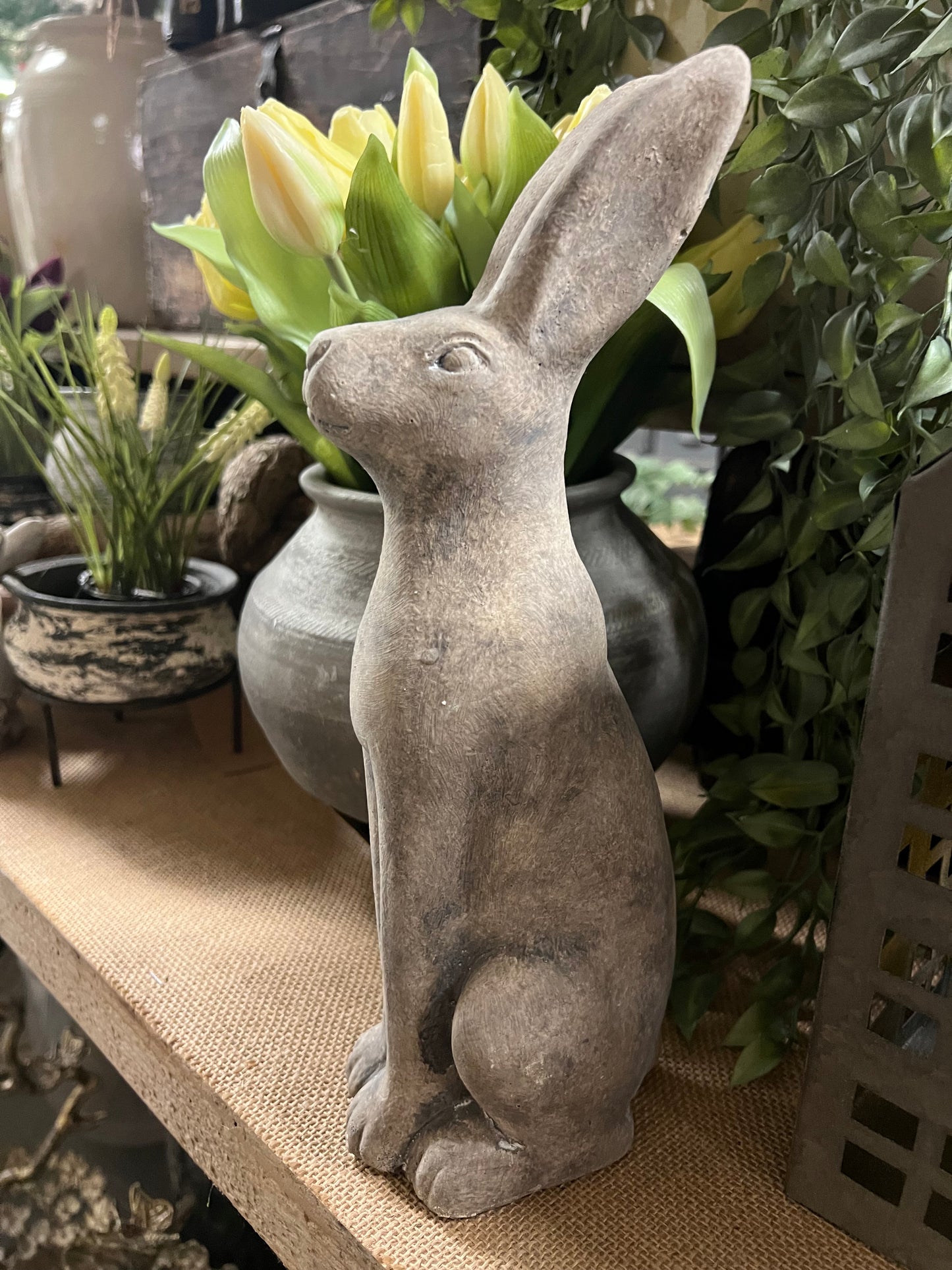 HAAS | STEEN | 2 | SOORTEN | MIDDEL