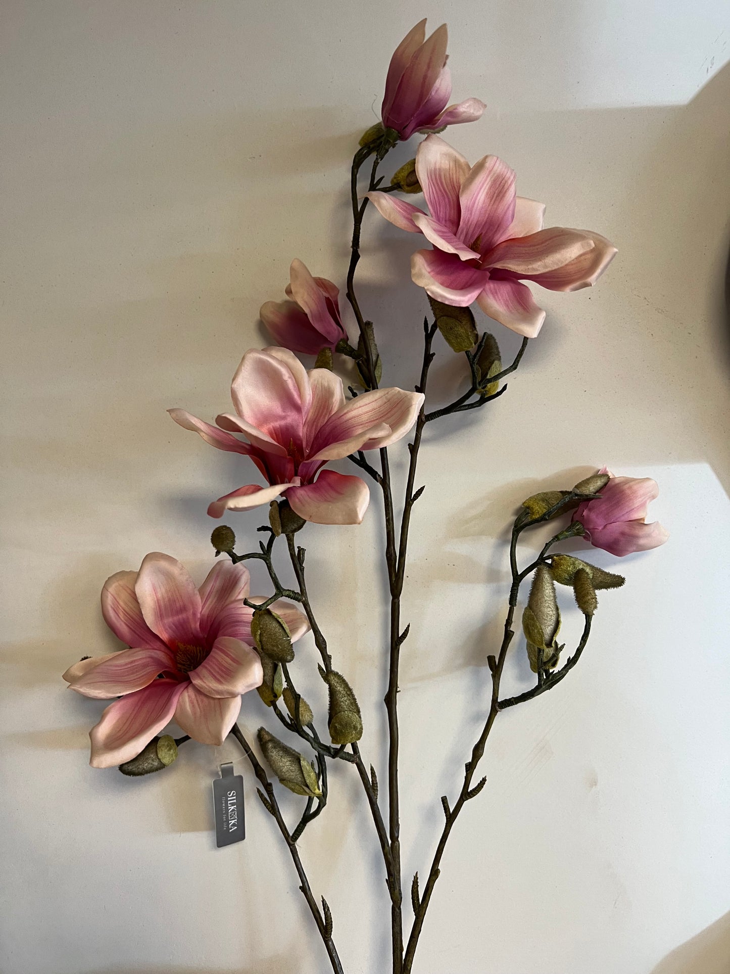 ZIJDEN | MAGNOLIA | TAKKEN | SILKA