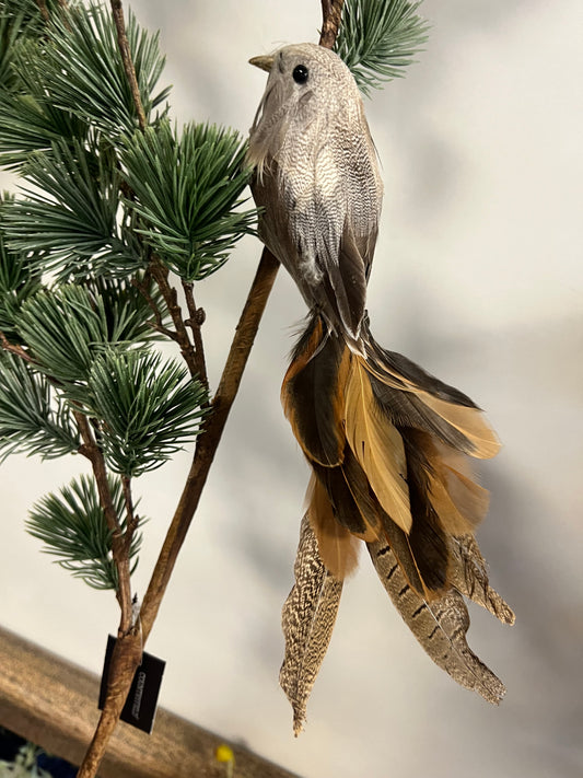 KUNST | VOGEL | MET | ECHTE | VEREN