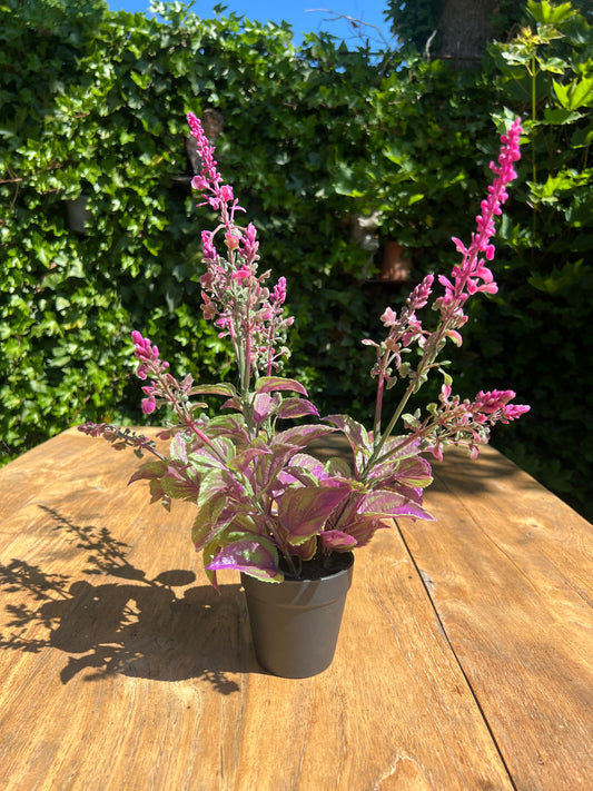 KUNST | LAVENDEL | MAGENTA