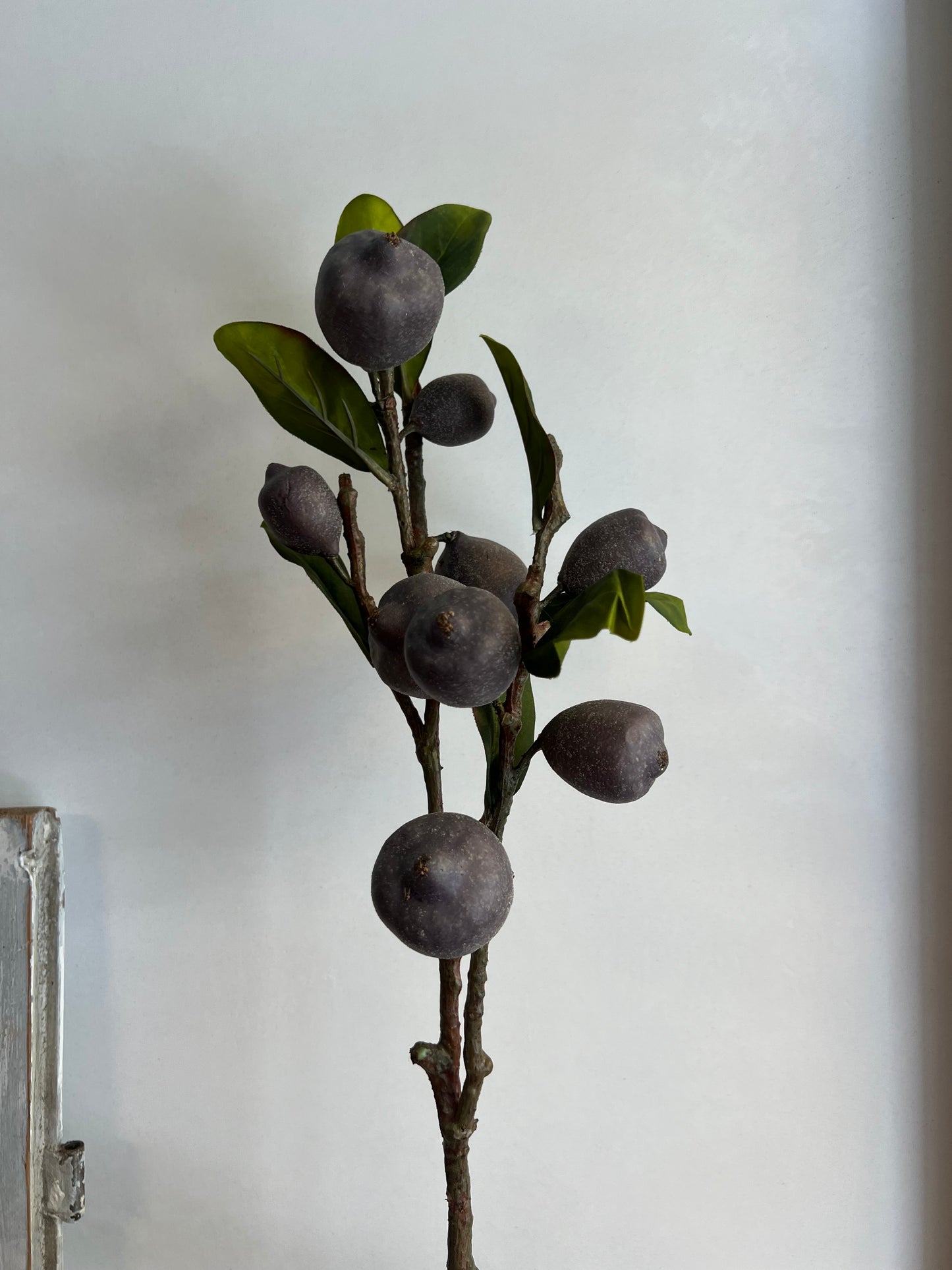 KUNST | FRUITTAK | 82 CM
