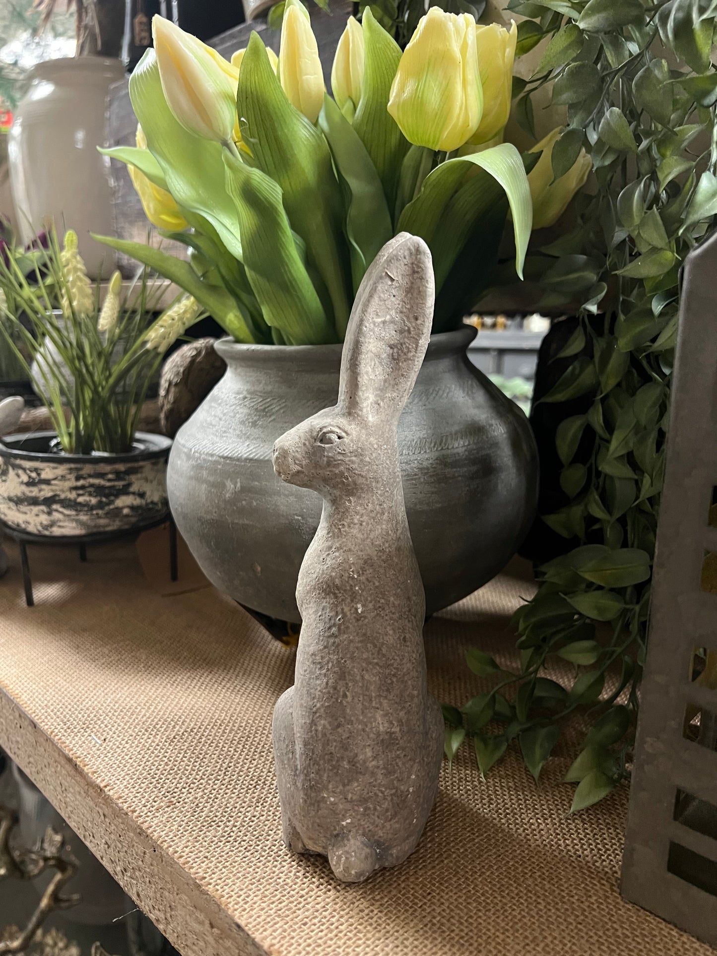 HAAS | STEEN | KLEIN | 2 | SOORTEN