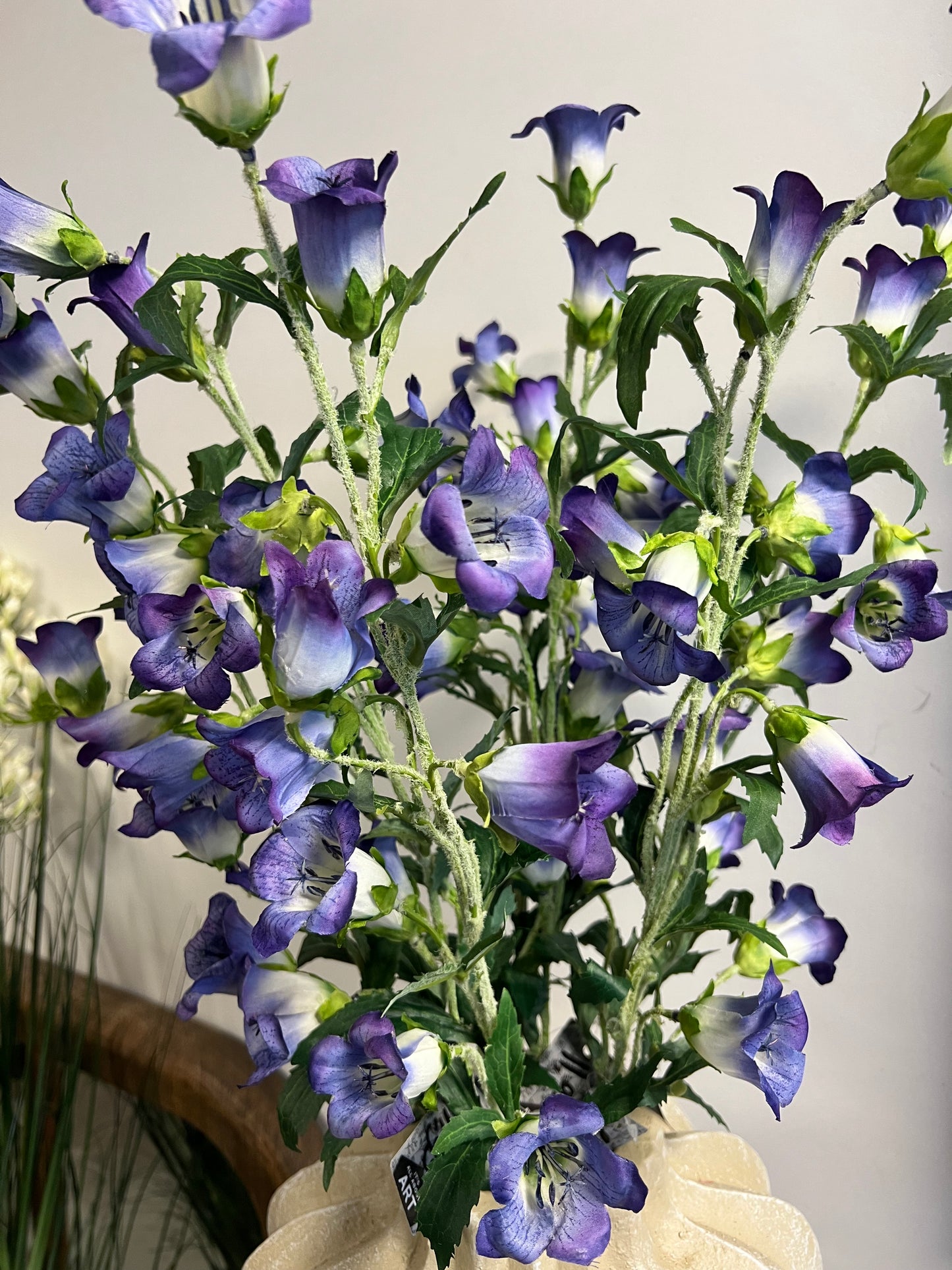 ZIJDEN | CAMPANULA | PAARS