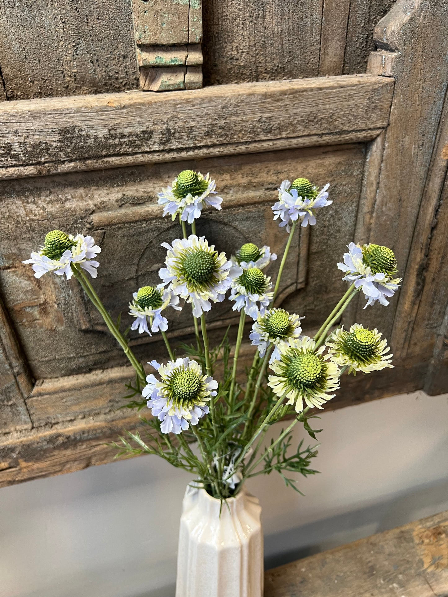 KUNST | SCABIOSA | LAVENDEL