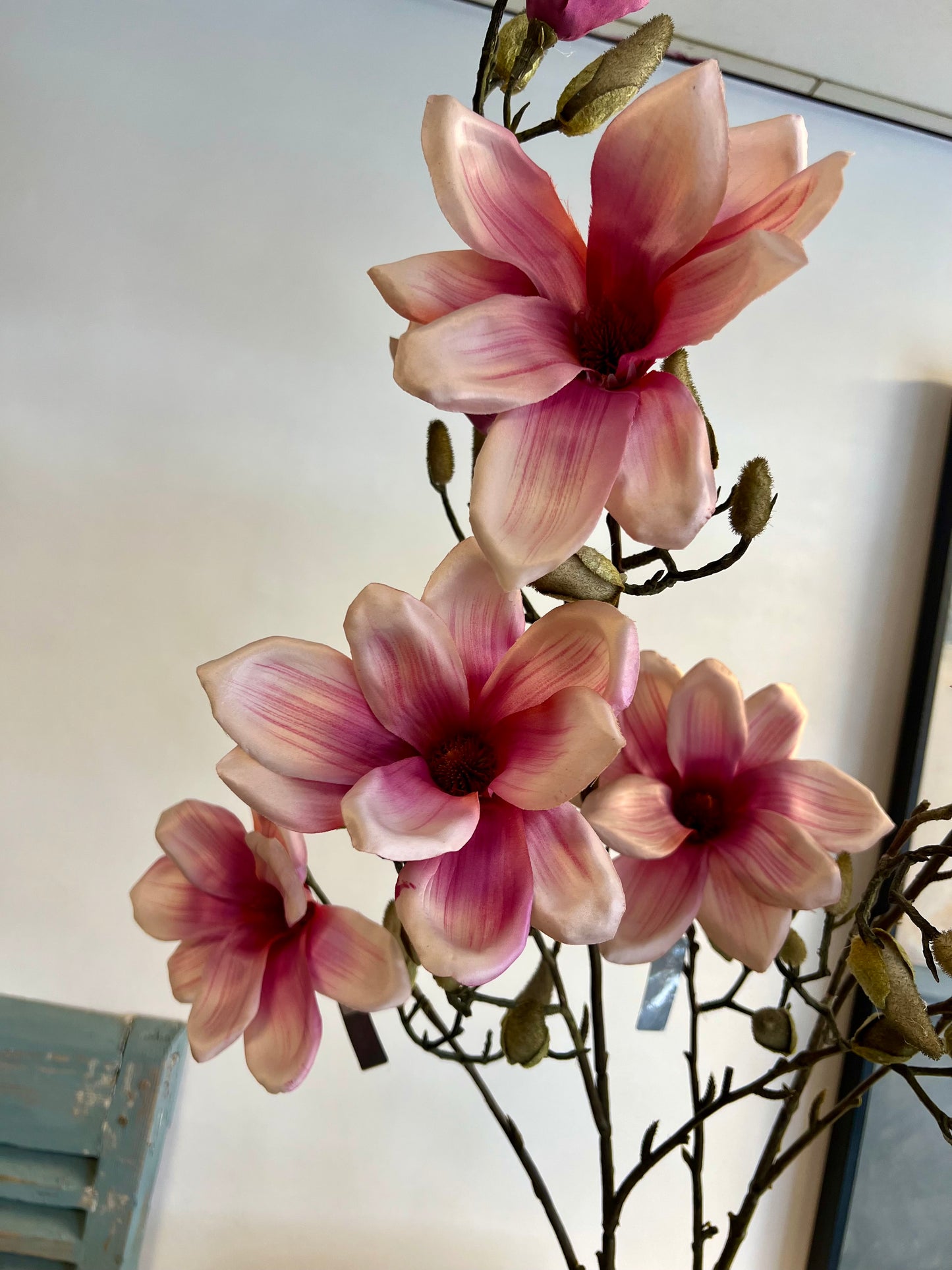 ZIJDEN | MAGNOLIA | TAKKEN | SILKA
