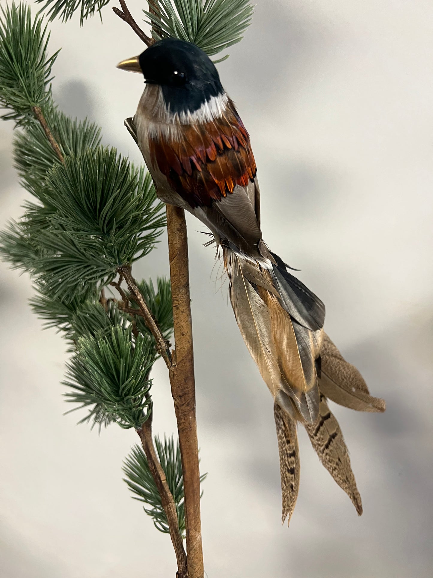 KUNST | VOGEL | MET | ECHTE | VEREN