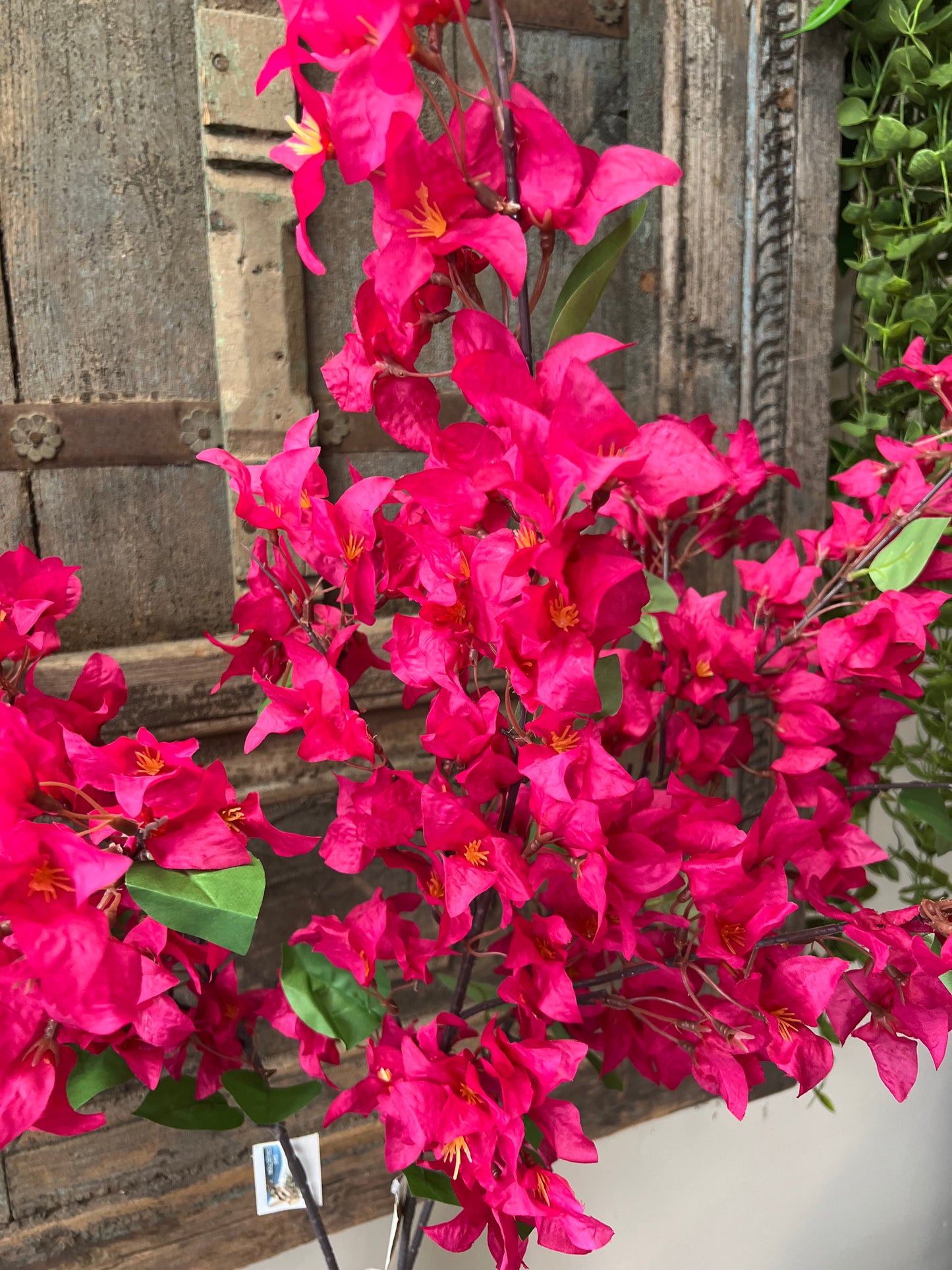 ZIJDEN | BOUGAINVILLEA | TAKKEN
