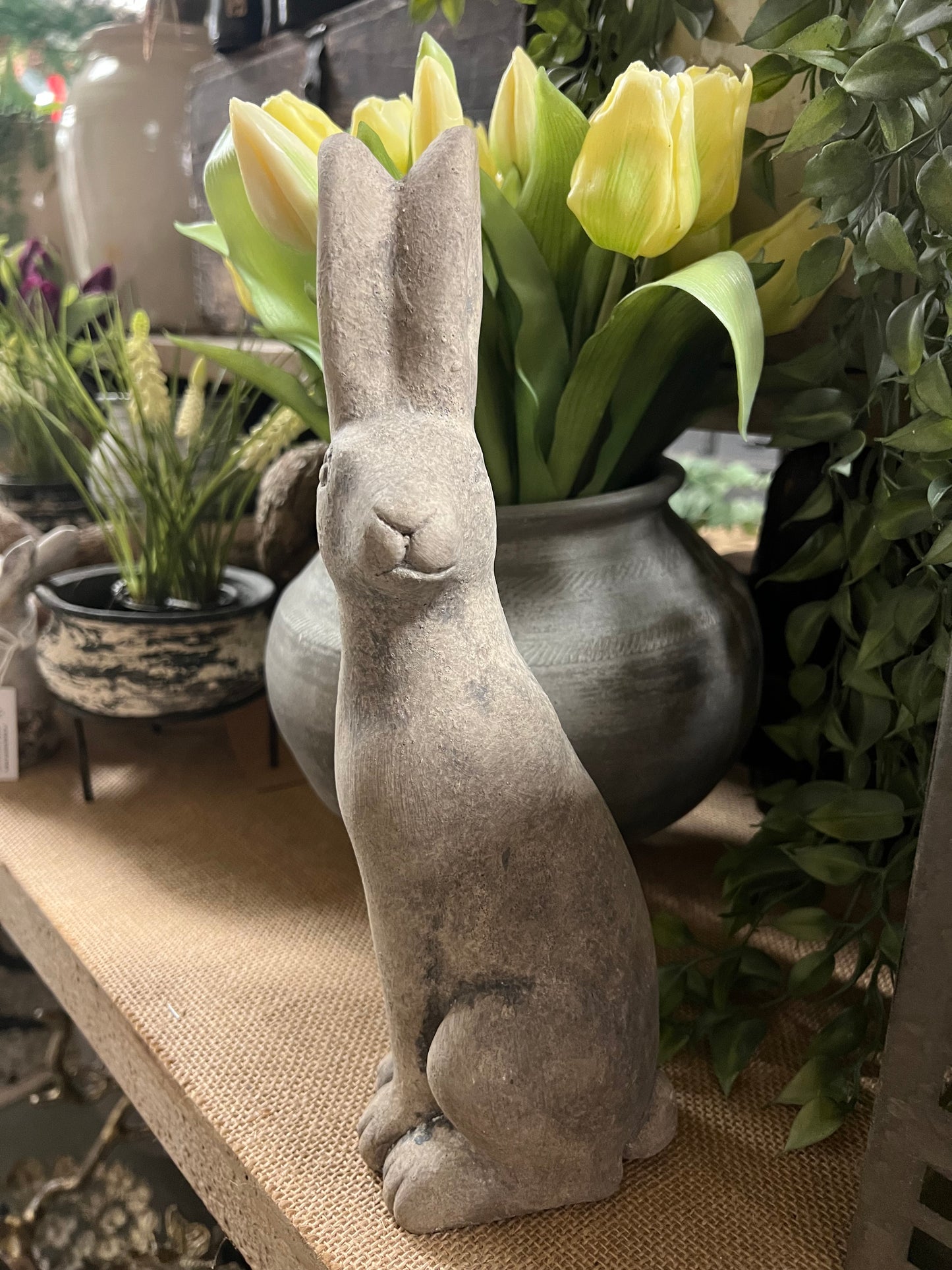 HAAS | STEEN | 2 | SOORTEN | MIDDEL