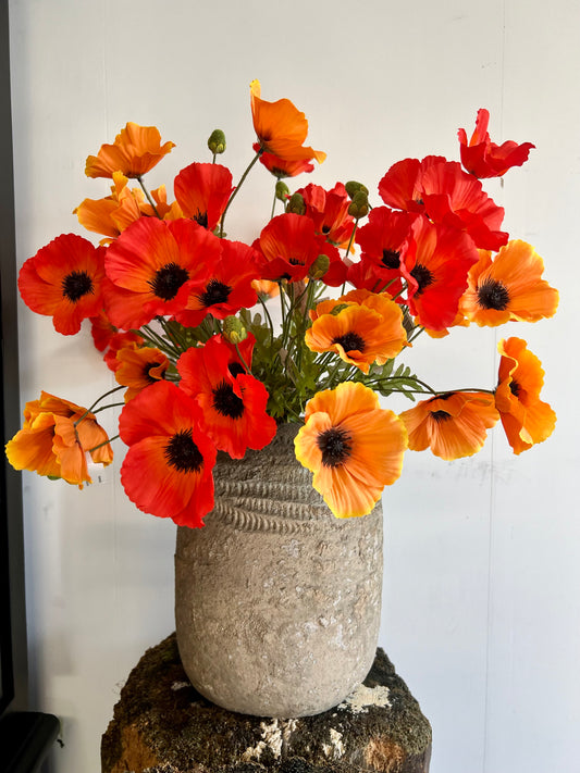 KLAPROOS | 3 | KLEUREN | ORANJE| ZIJDEN