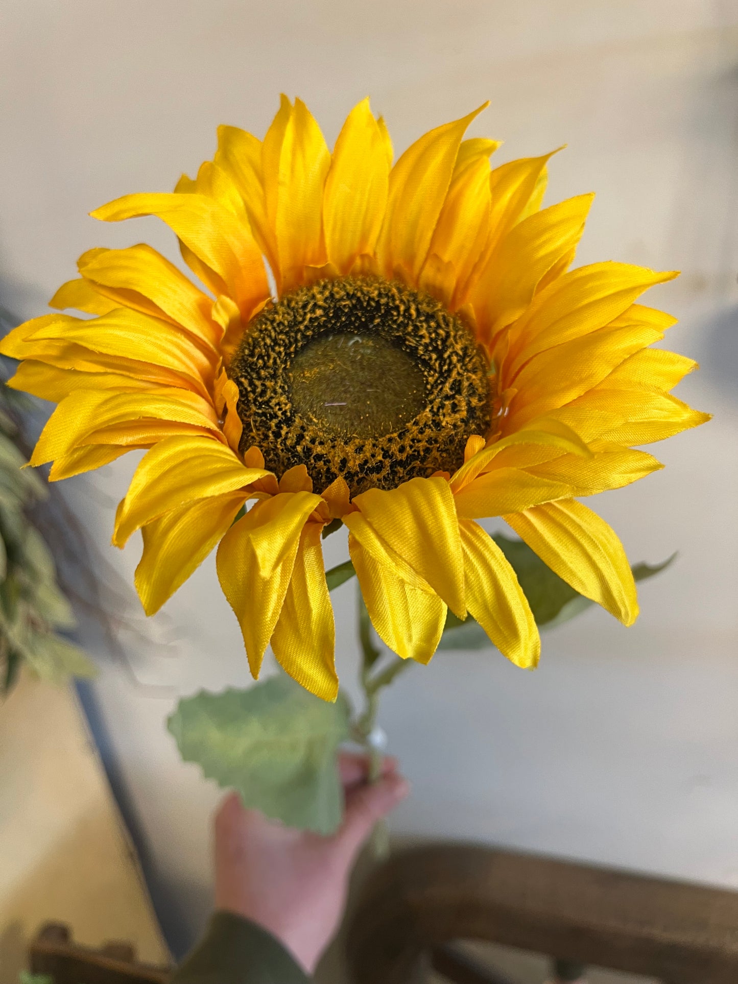 ZIJDEN | ZONNEBLOEM