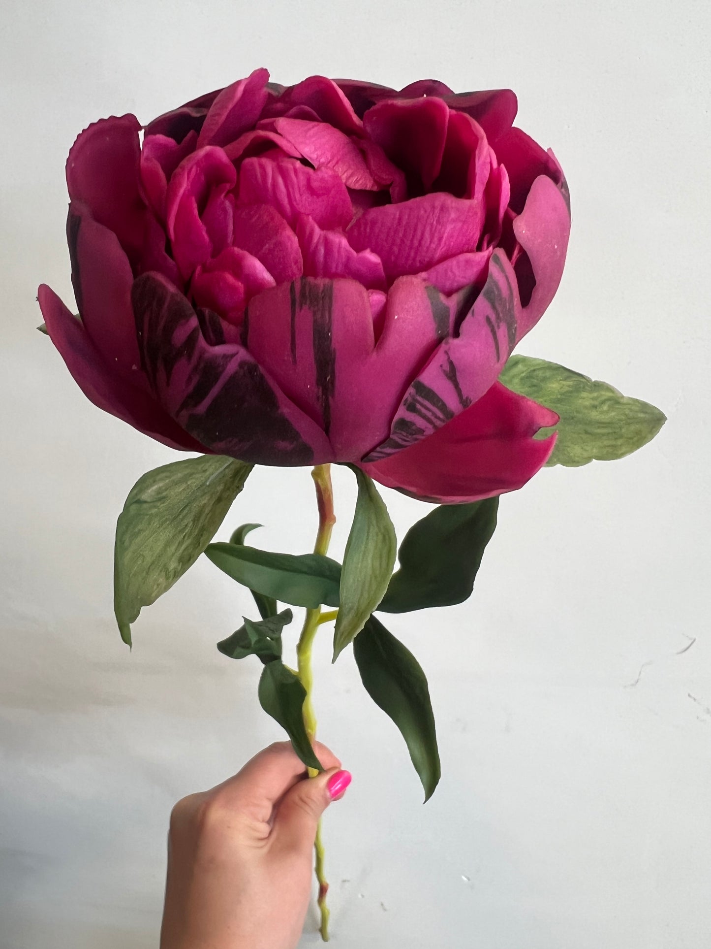 REAL | TOUCH | PIOEN | AUBERGINE | GROOT