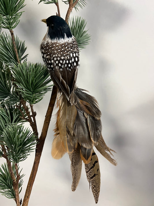 KUNST | VOGEL | MET | ECHTE | VEREN