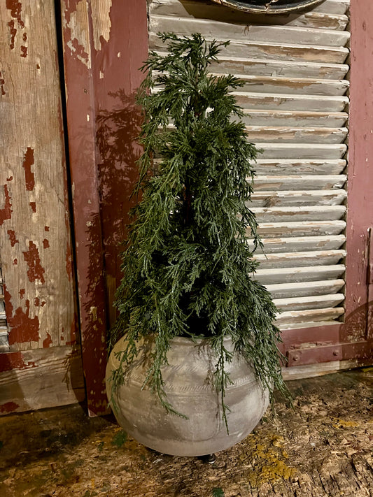 KUNST | BOOMPJE | INCL | POT | OP | STANDAARD