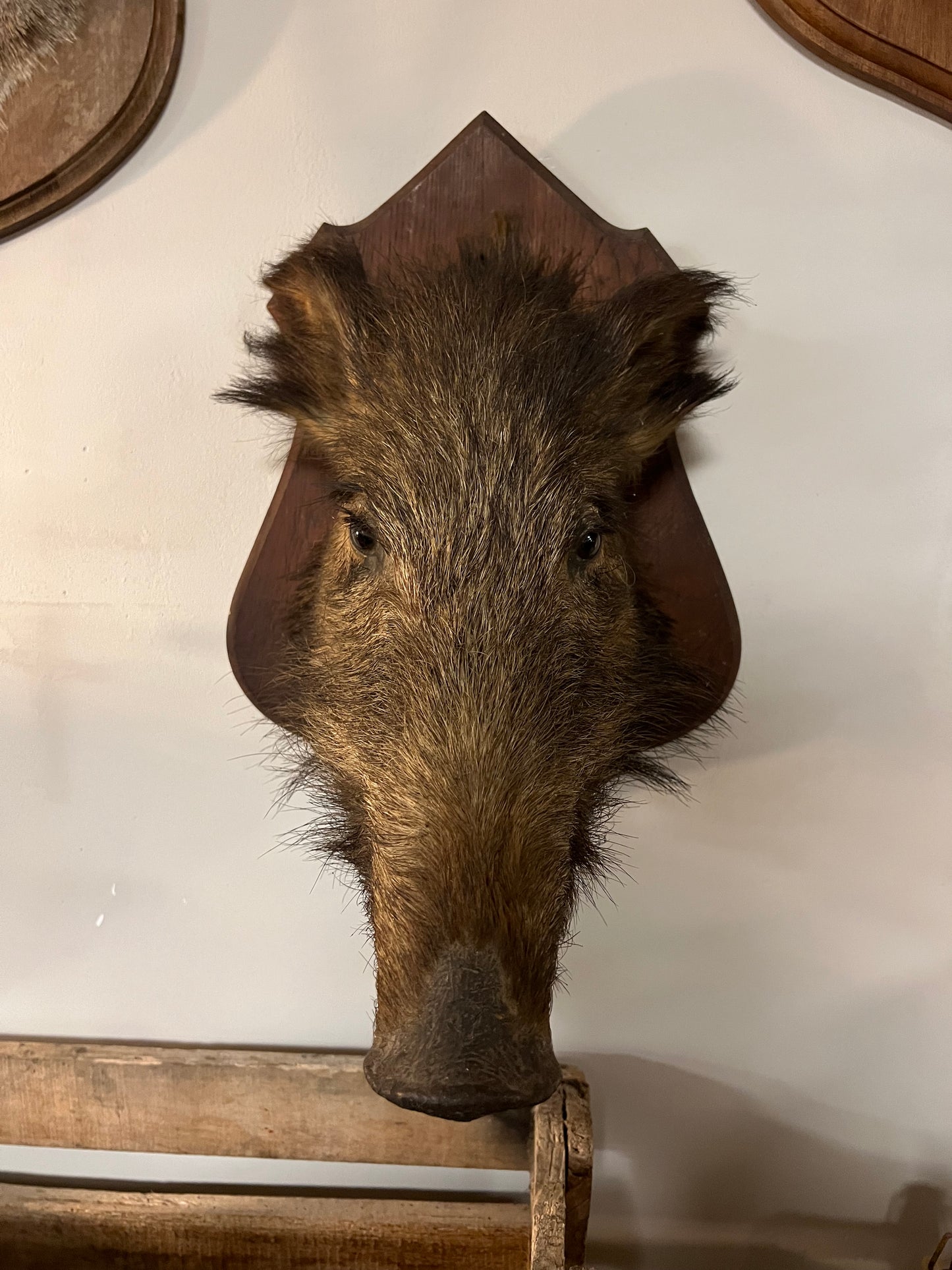 OUD | EVERZWIJN | BROCANTE | TAXIMERDIE