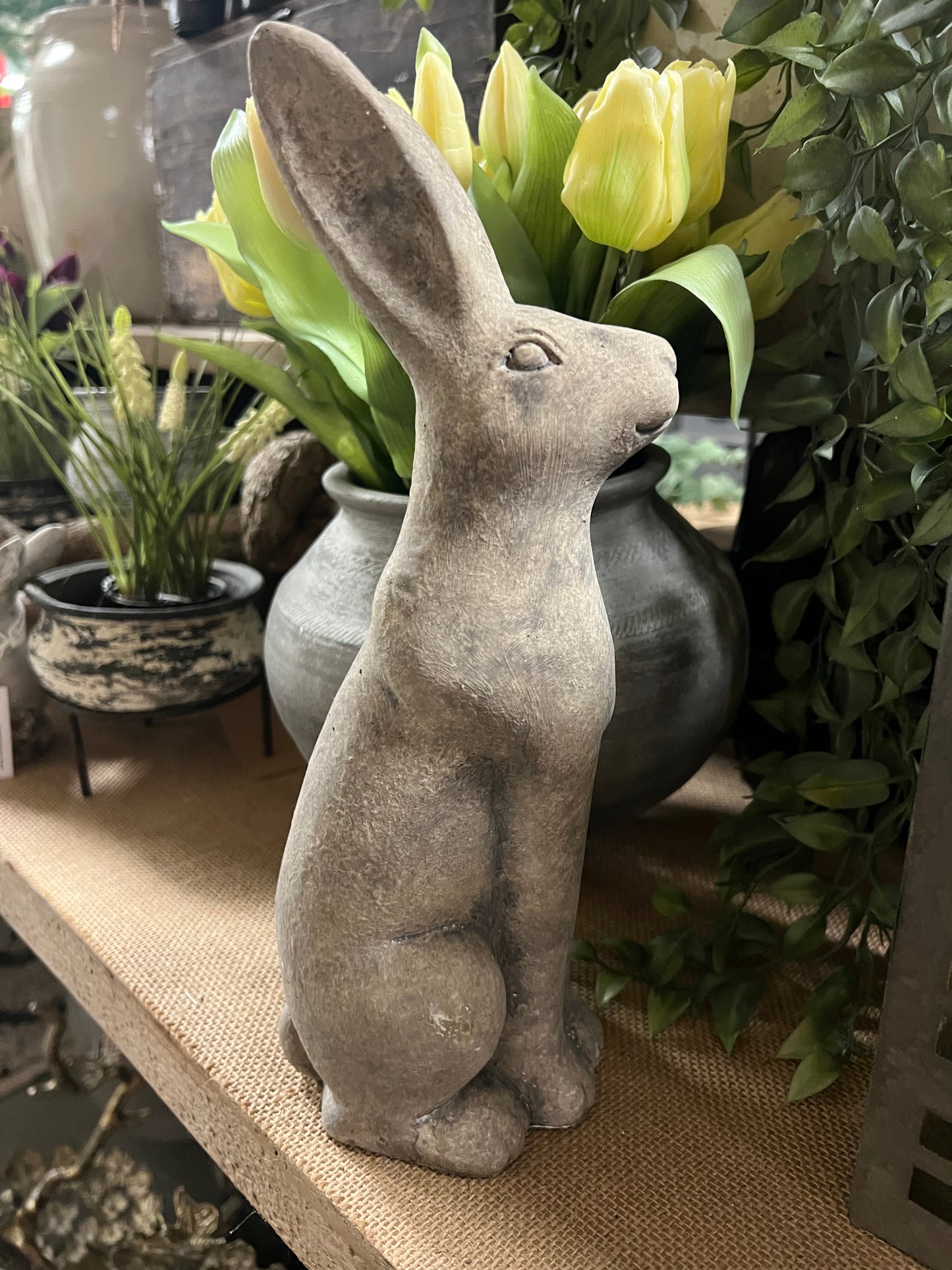 HAAS | STEEN | 2 | SOORTEN | MIDDEL