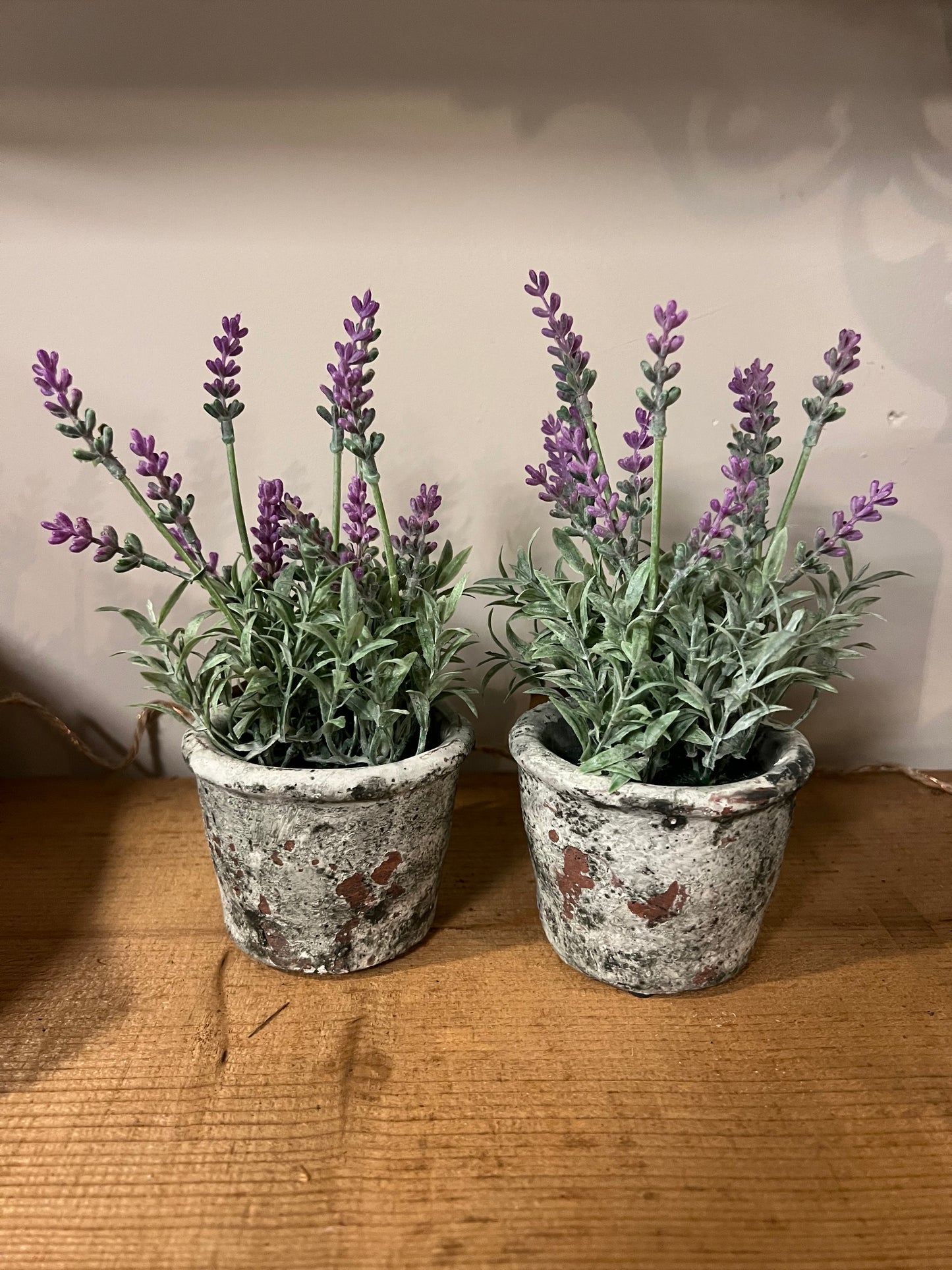 SET | VAN | 2 | POTJES | KUNST | LAVENDEL