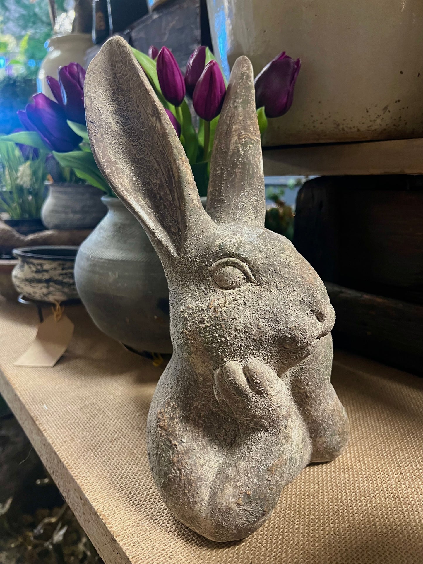 HAAS | STEEN | GROOT