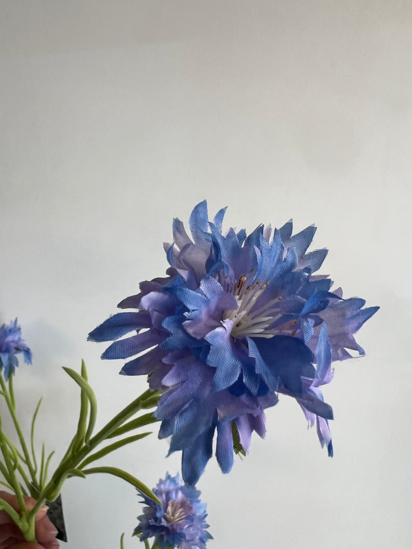 ZIJDEN | PAARS | BLAUWE | KORENBLOEMEN