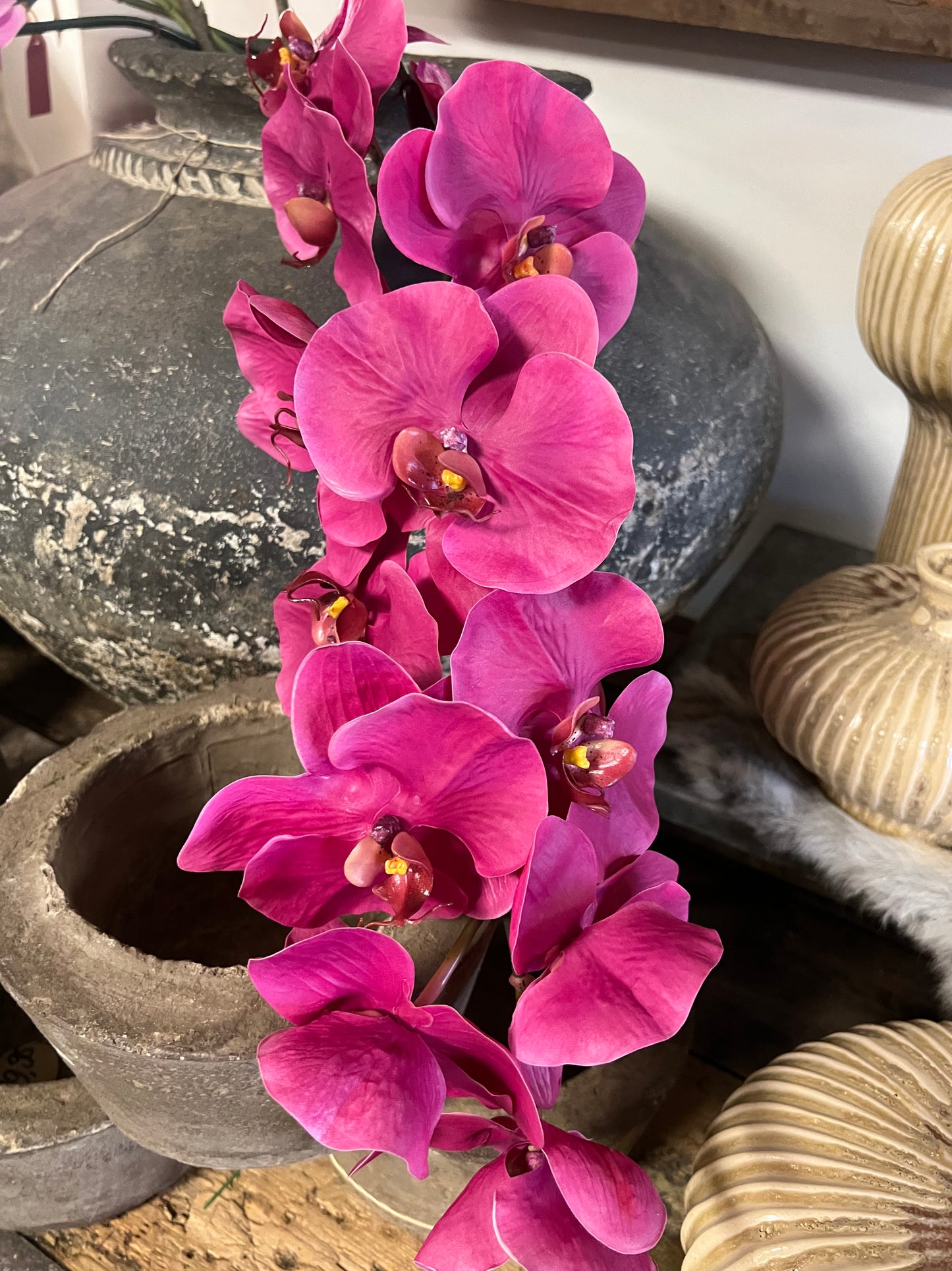 KUNST | ORCHIDEE | FUCCIA
