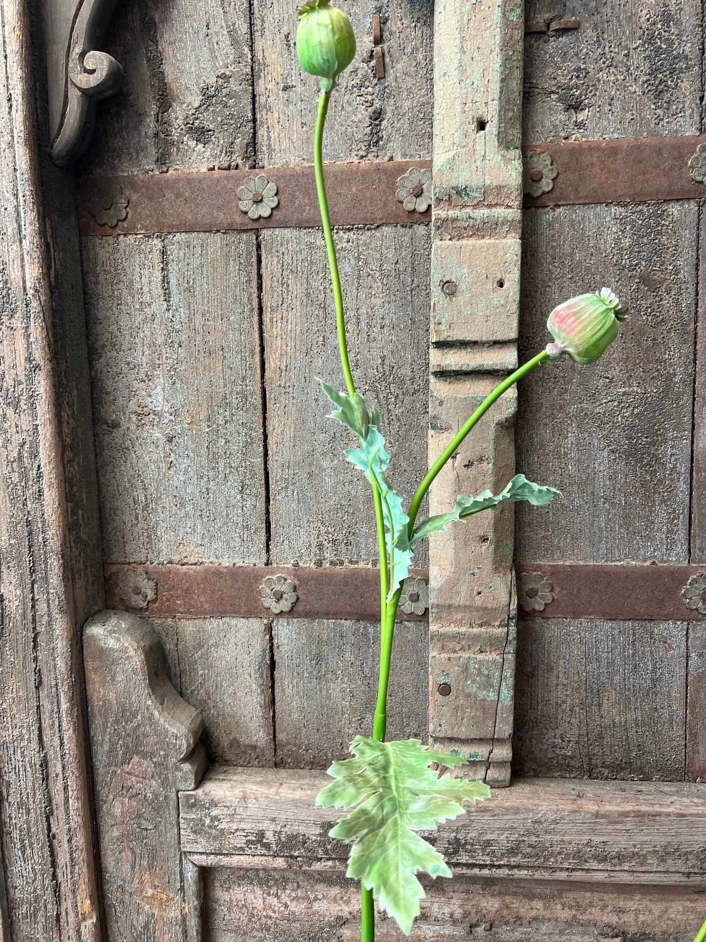 KUNST | PAPAVER | GROEN | 78 CM