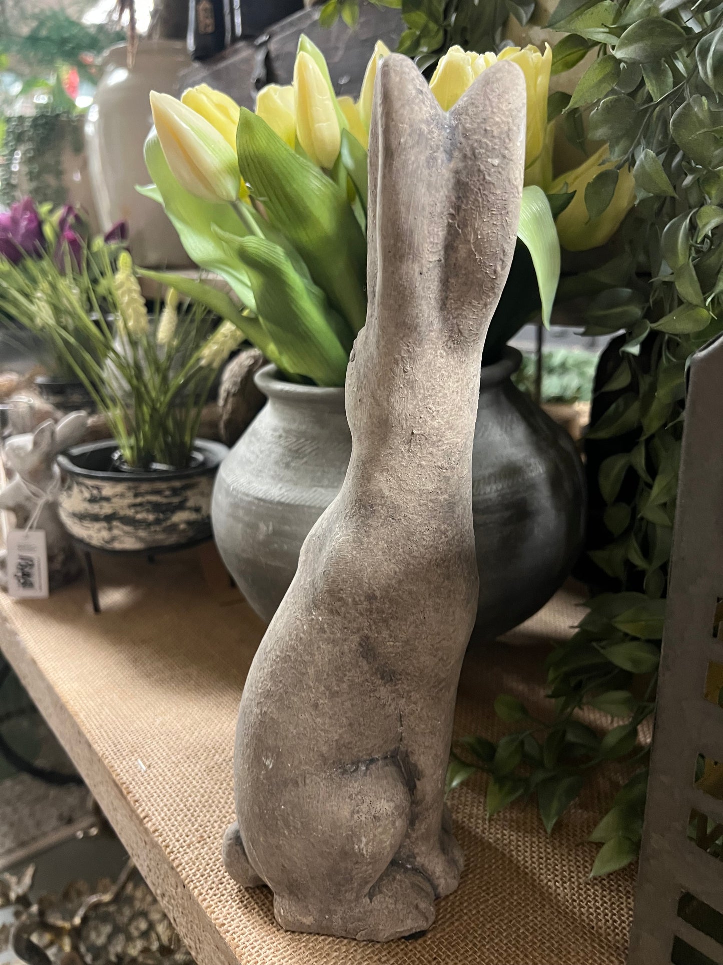 HAAS | STEEN | 2 | SOORTEN | MIDDEL