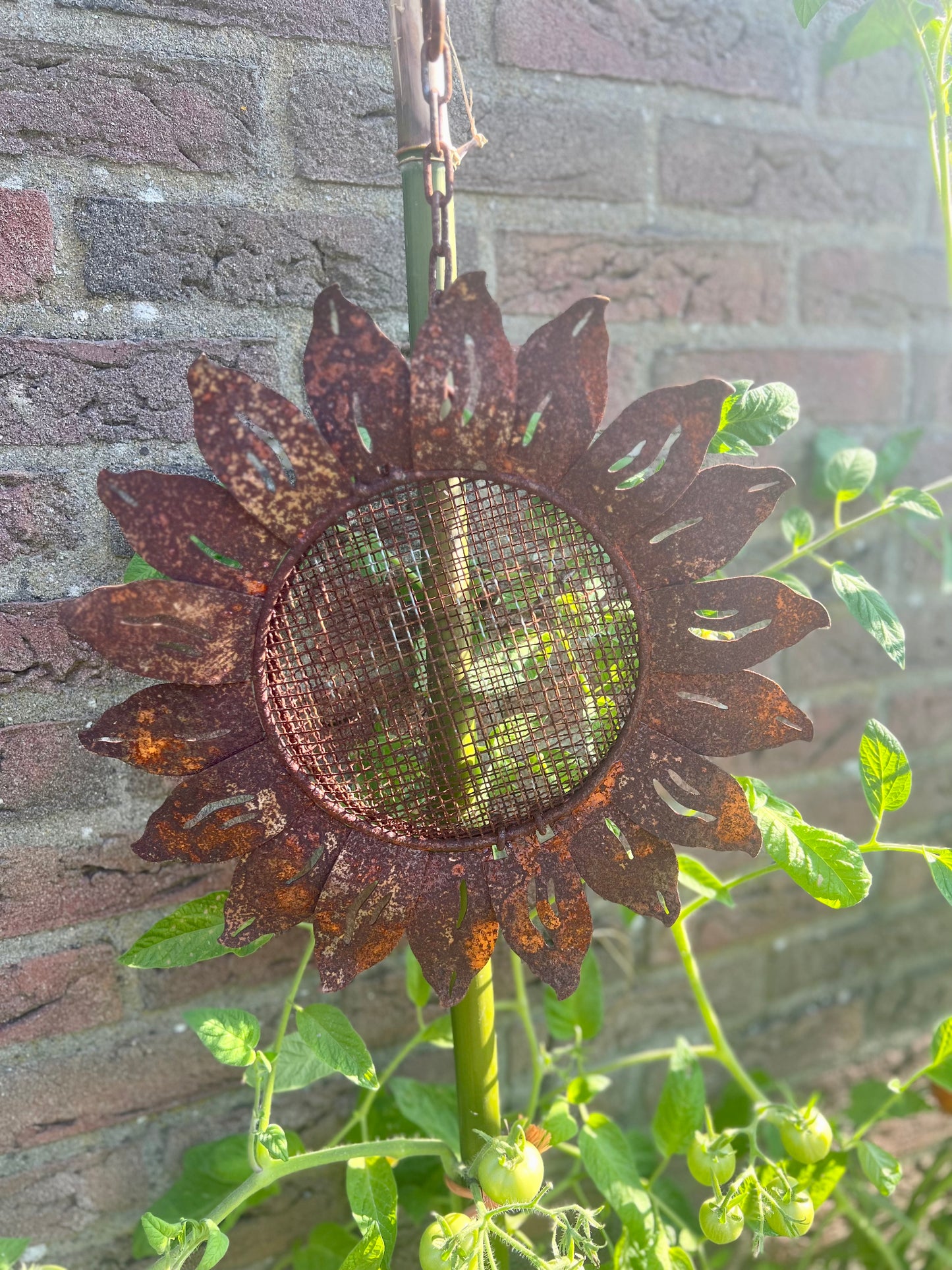 ZONNEBLOEM | ROEST | VOGEL VOEDER