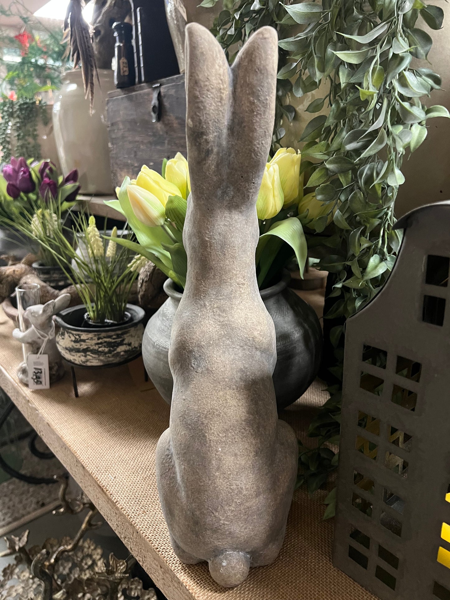 HAAS | STEEN | 2 | SOORTEN | GROOT