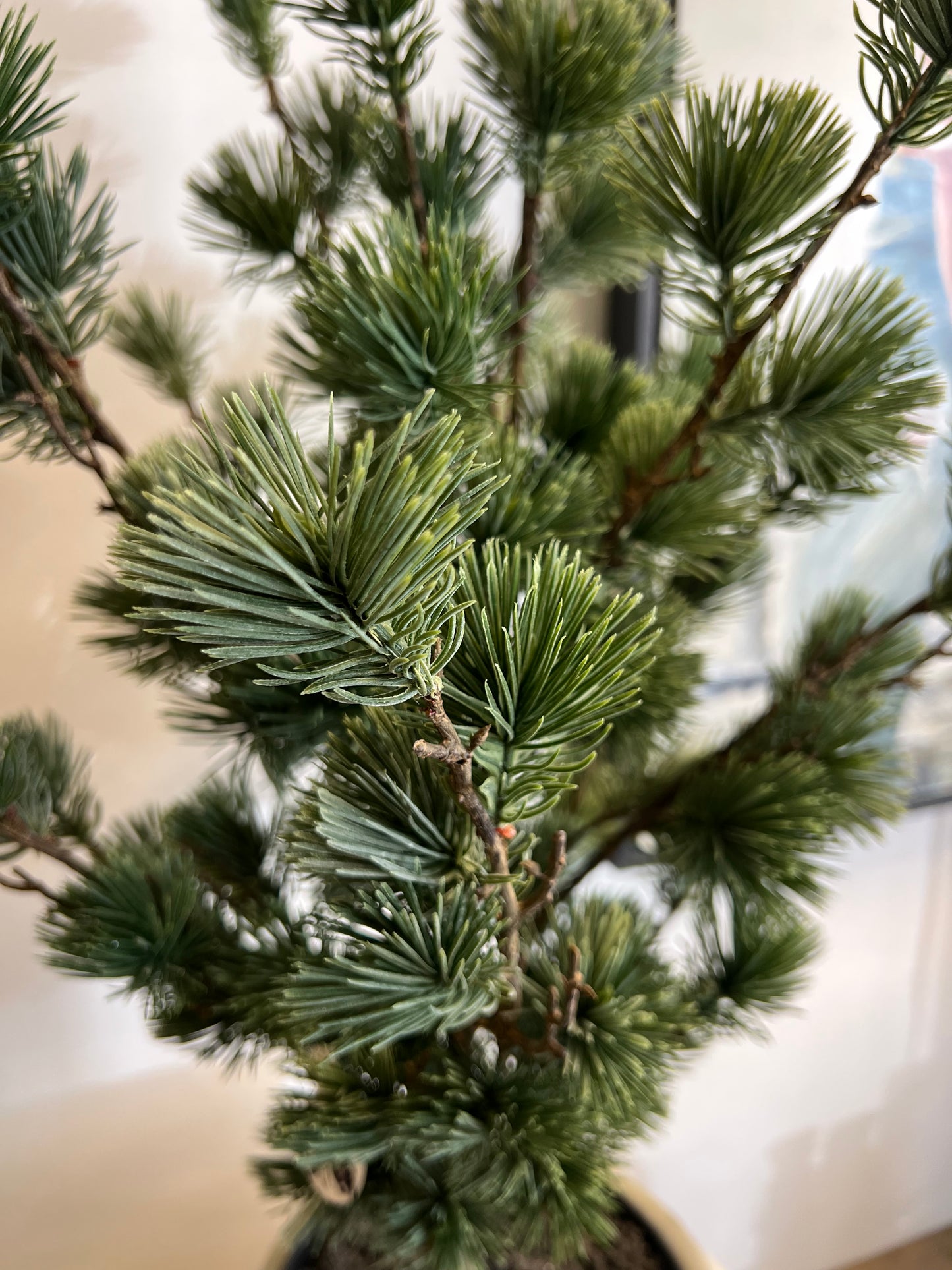 LARIX | KUNST | BOOM | 80 CM