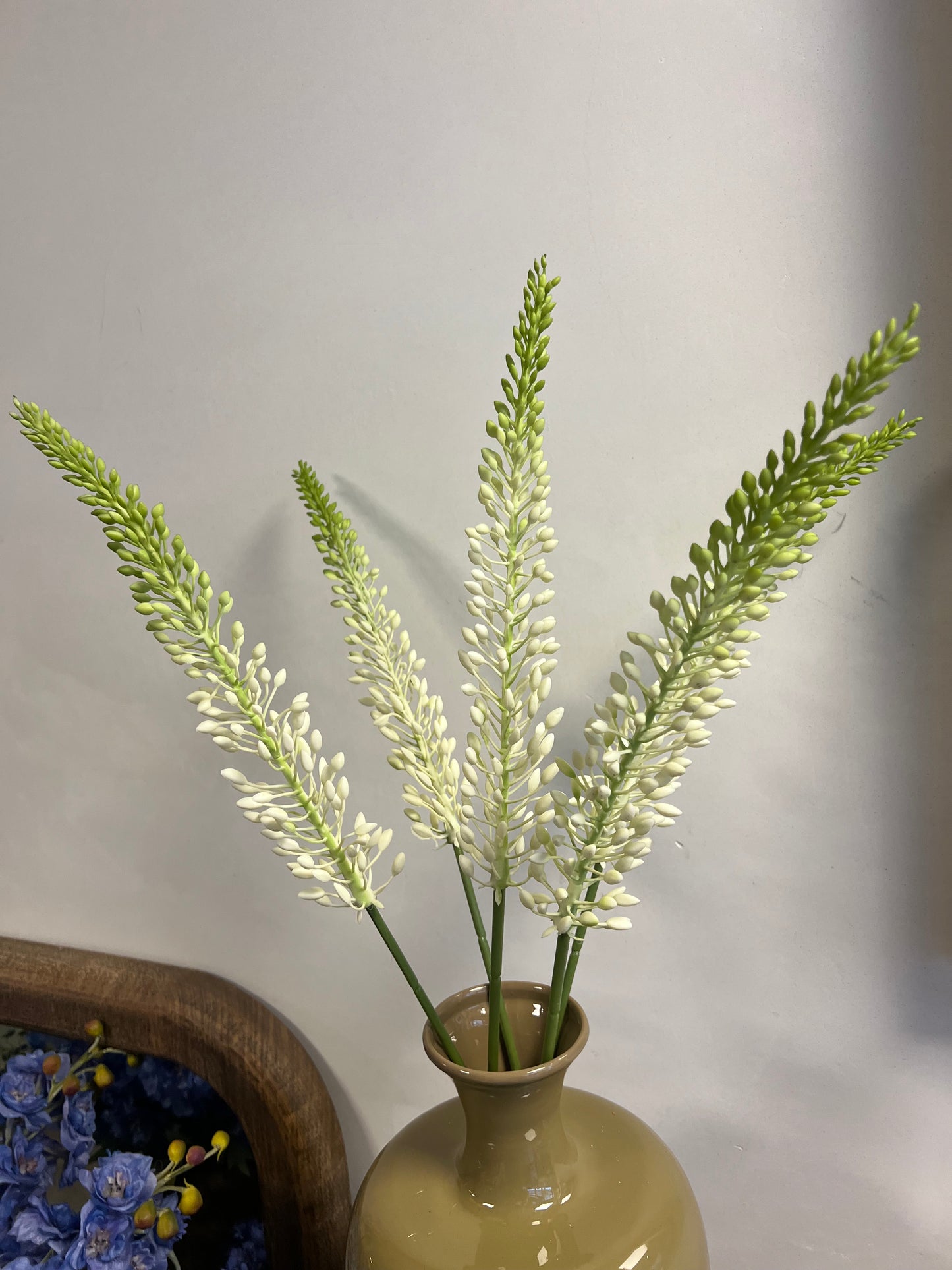 KUNST | EREMURUS | NAALD | VAN | CLEOPATRA | 2 | KLEUREN