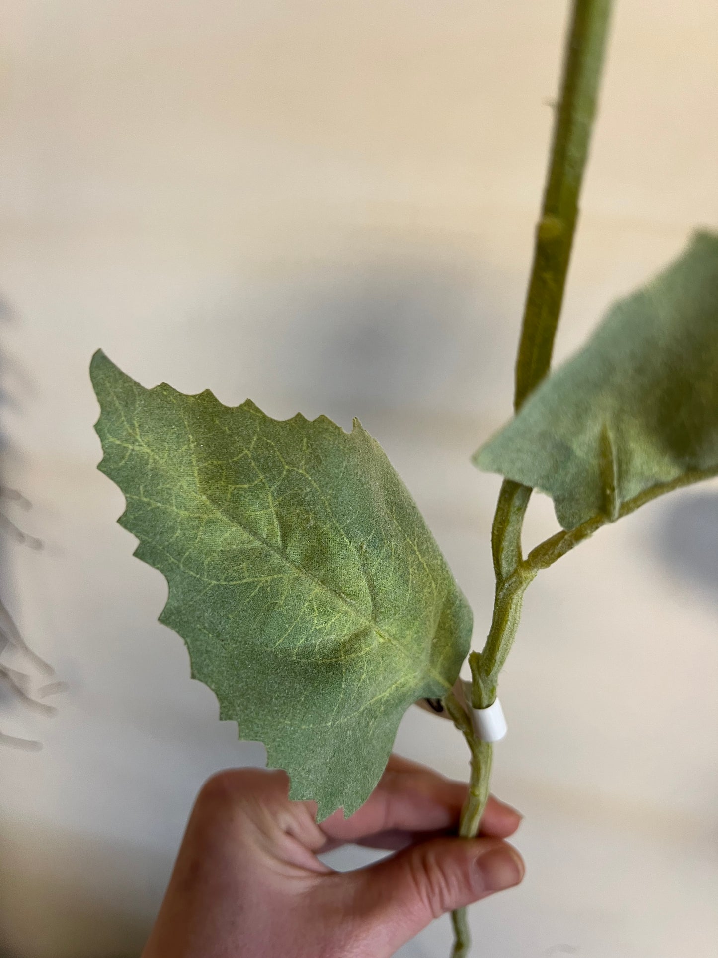 ZIJDEN | ZONNEBLOEM