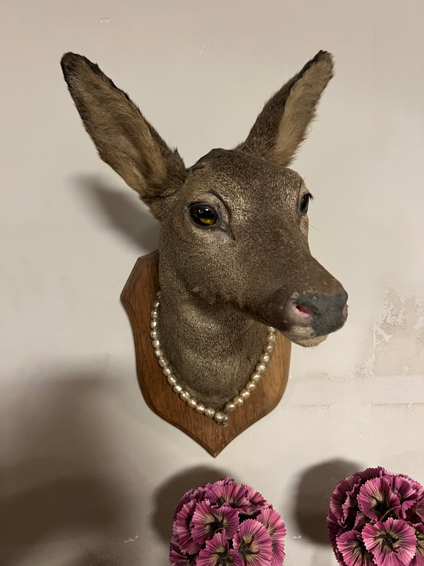 OUD | HERT | TAXIMERDIE | BROCANTE