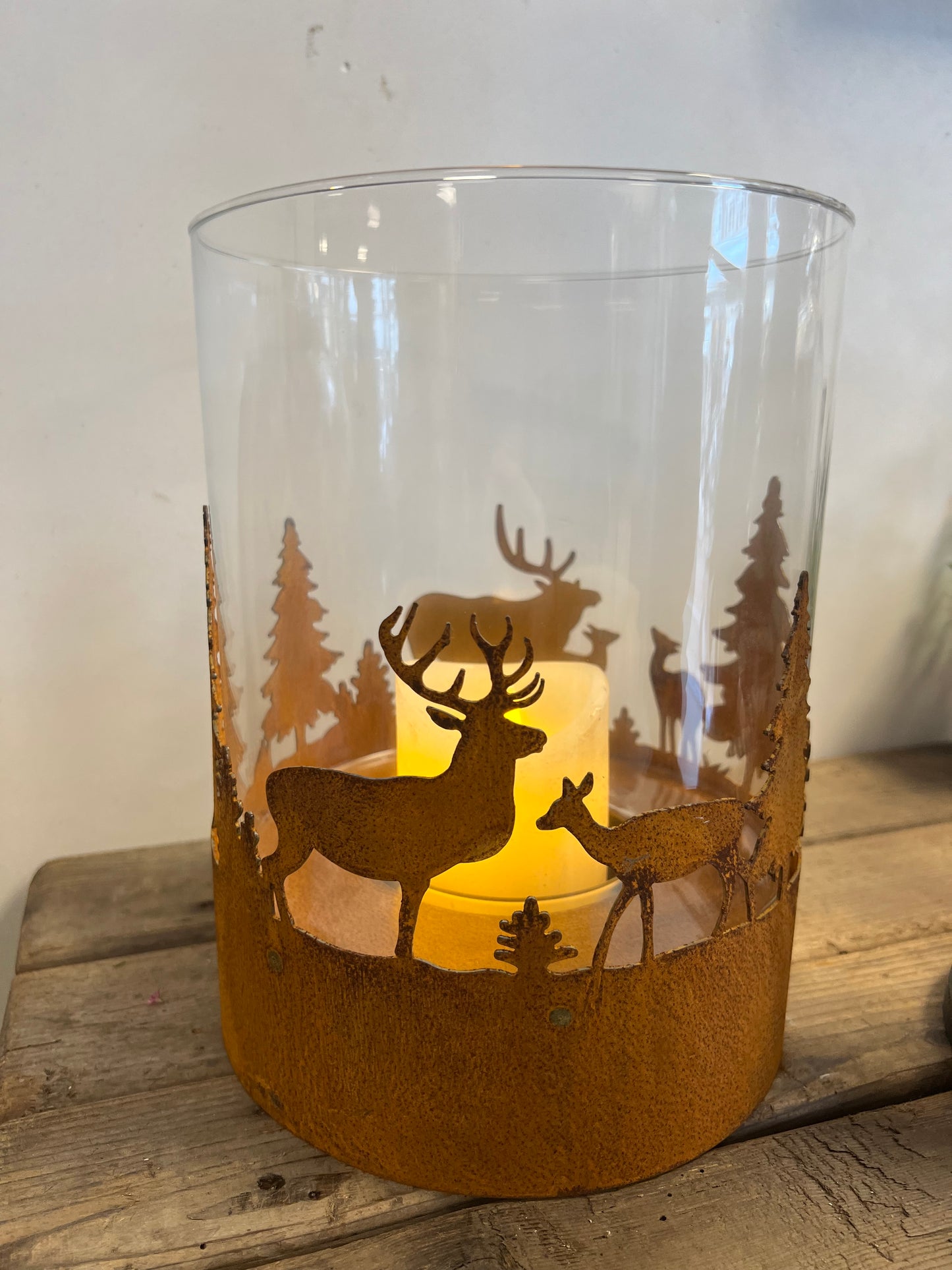 WINDLICHT | ROEST | HERT | DENNEBOOM