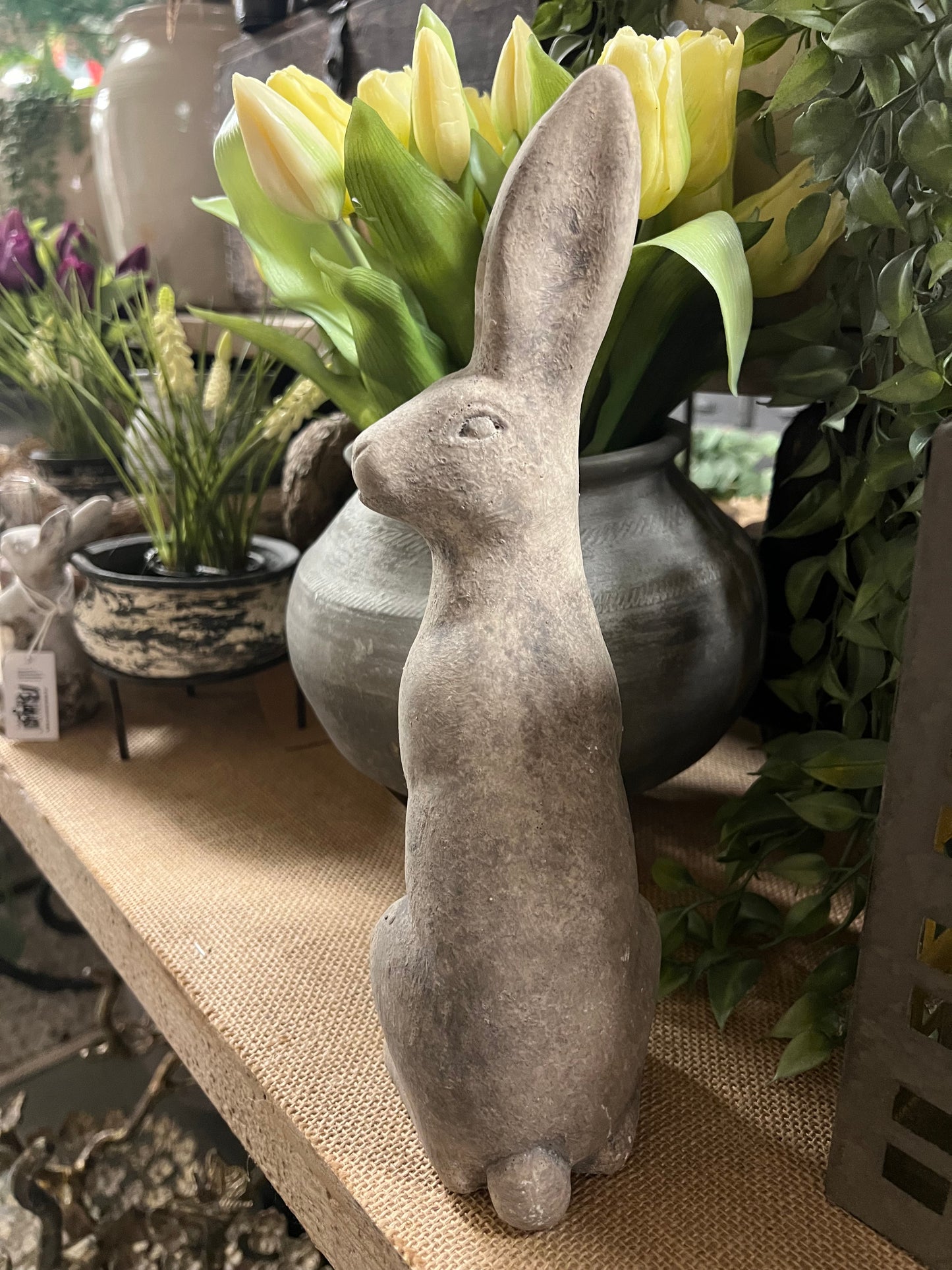 HAAS | STEEN | 2 | SOORTEN | MIDDEL