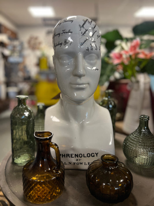 HOOFD | ANATOMIE