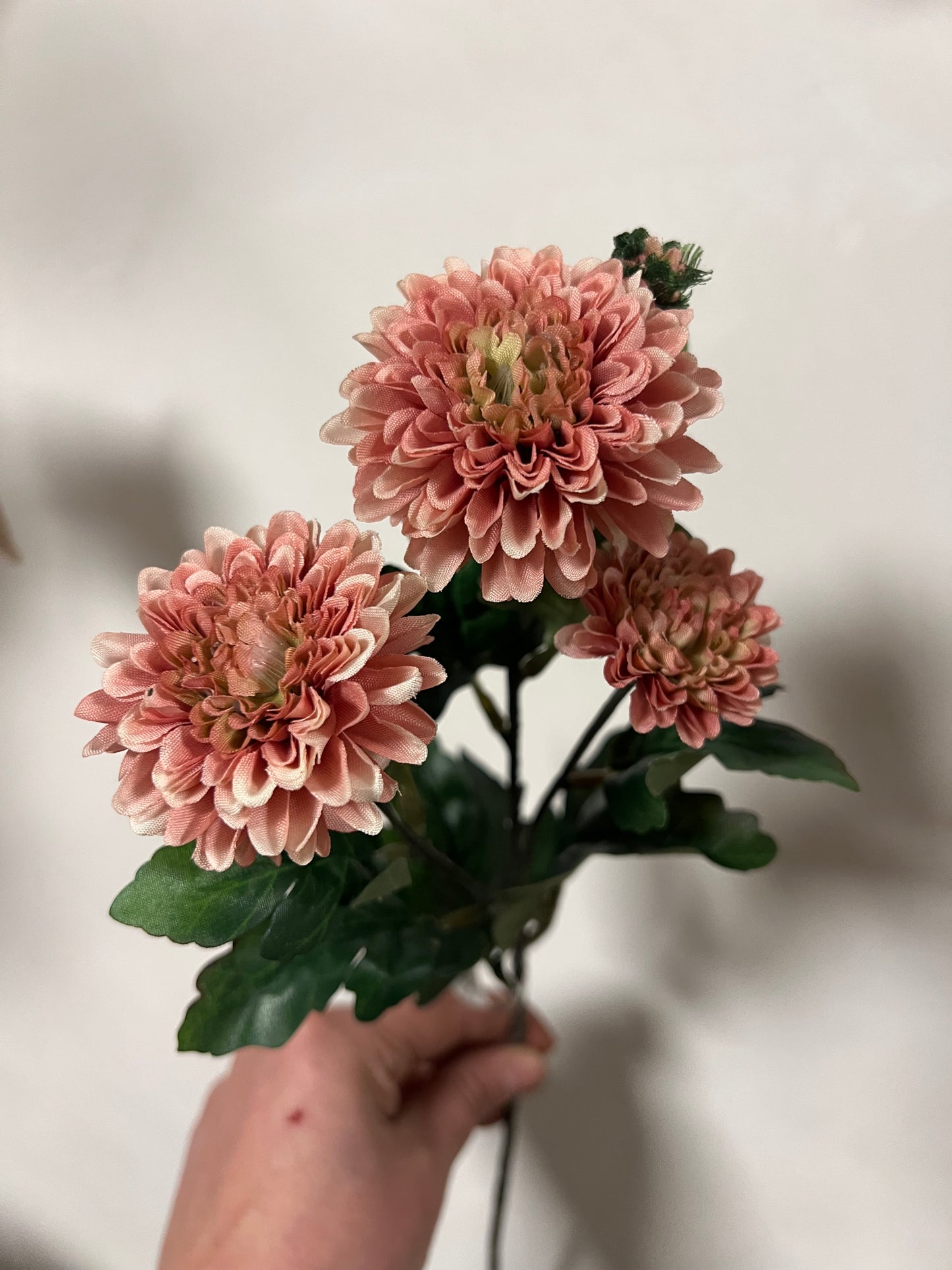 ZIJDEN | KLEINE | DALIHA | 2 | KLEUREN